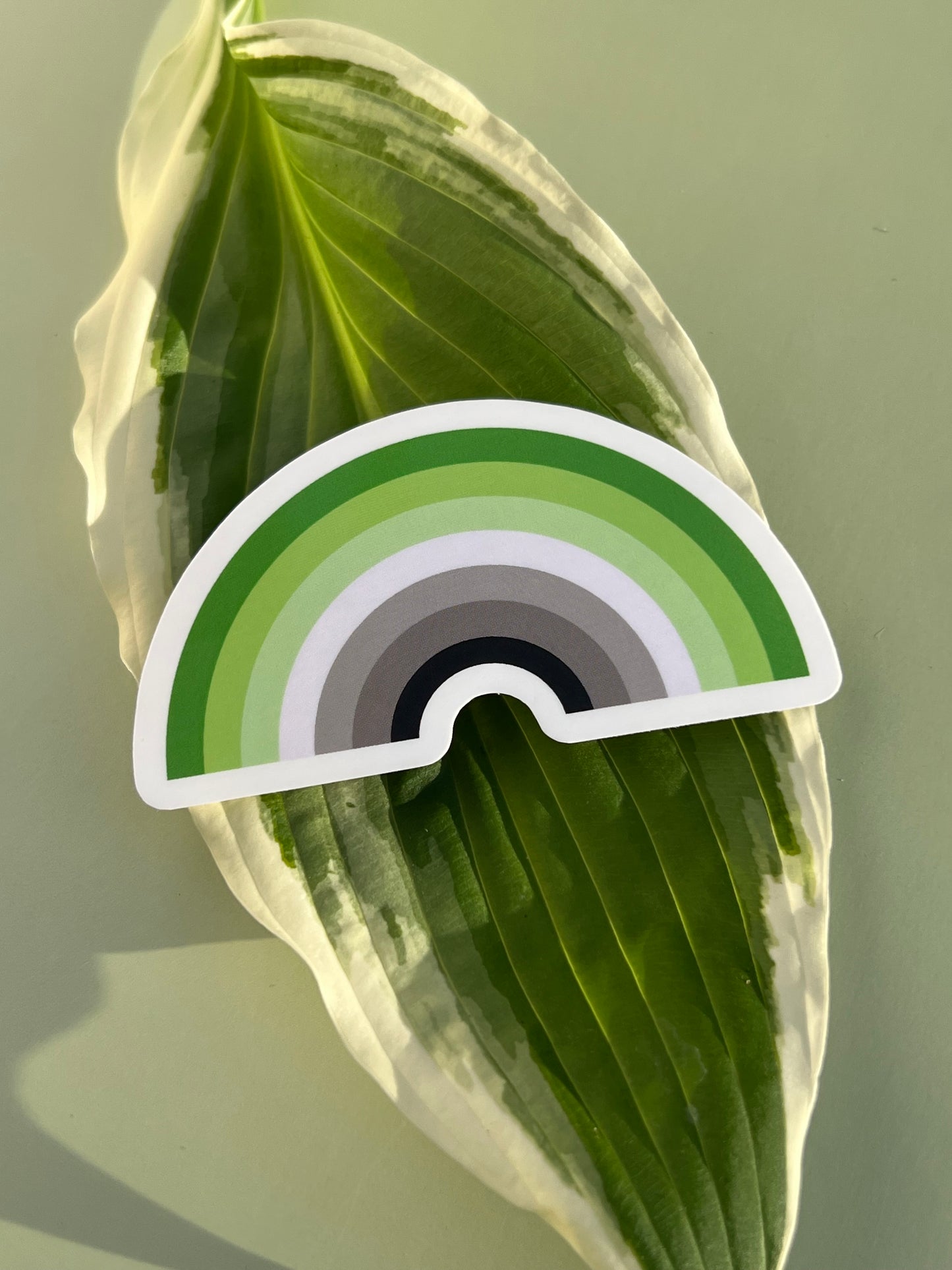 Aromantic Rainbow Sticker