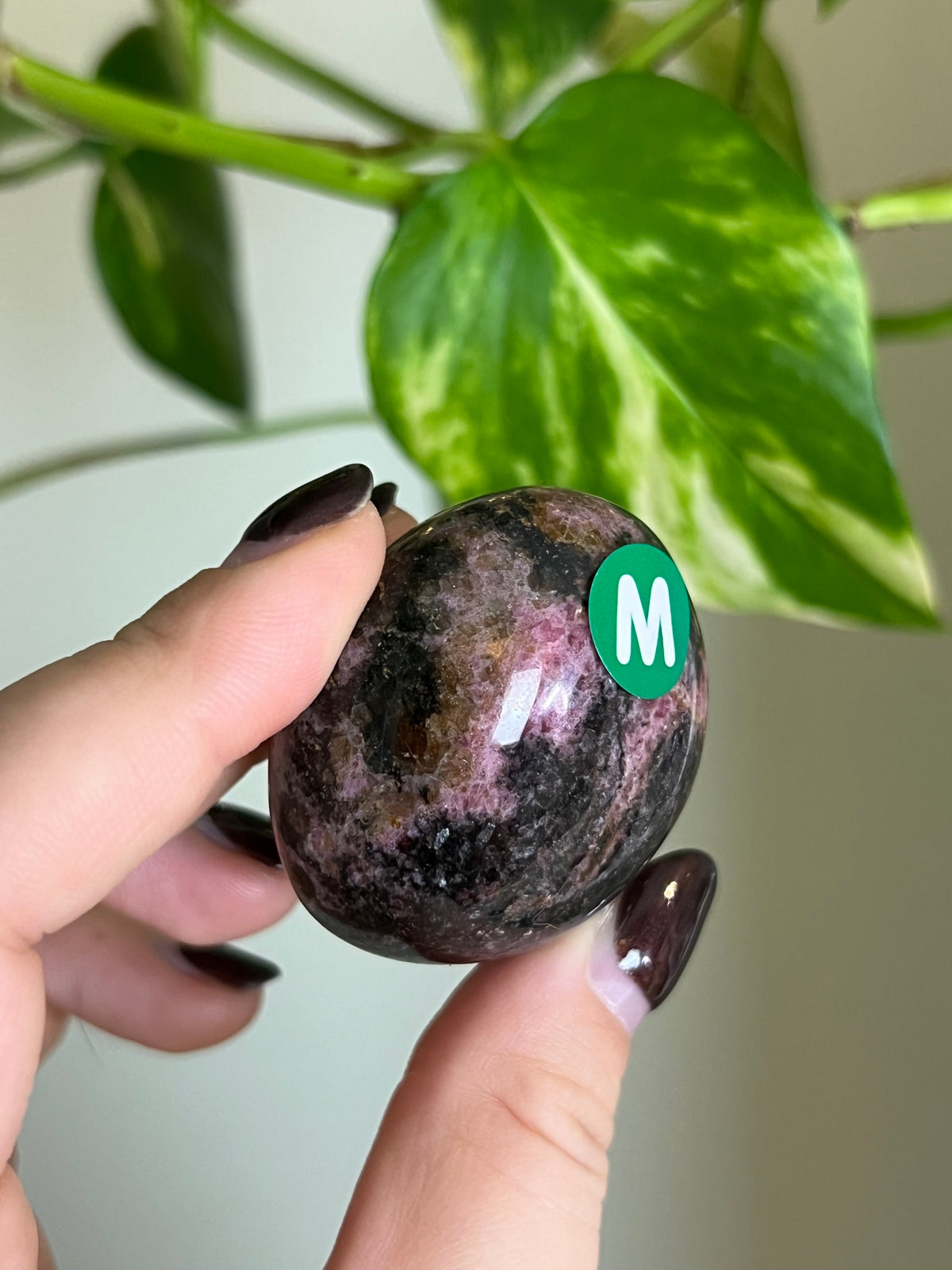 Madagascar Rhodonite Palm Stone - M