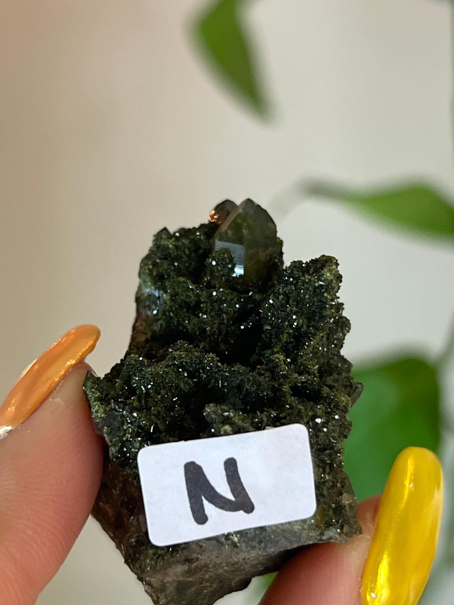 Forest Epidote Quartz Cluster - N