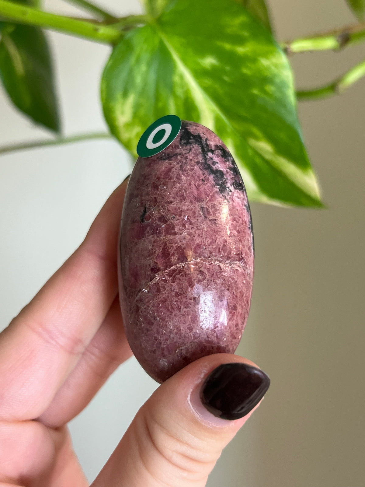 Madagascar Rhodonite Palm Stone - O