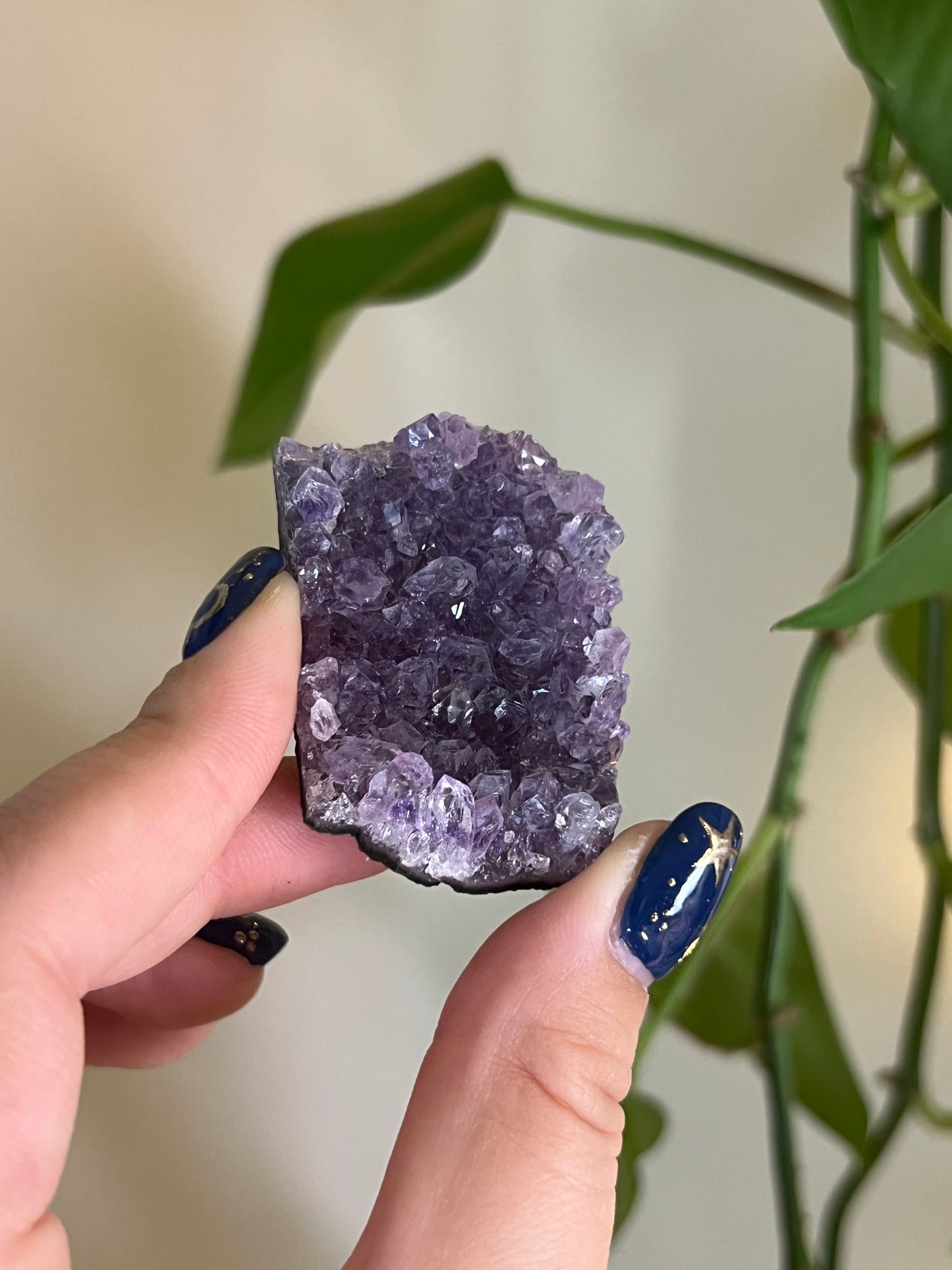 Amethyst Cluster Mini - Intuitively Chosen