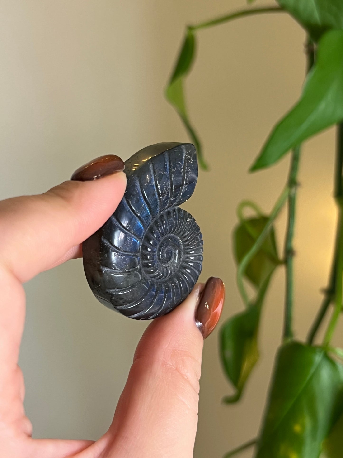 Flashy Lepidolite "Ammonite" Carving