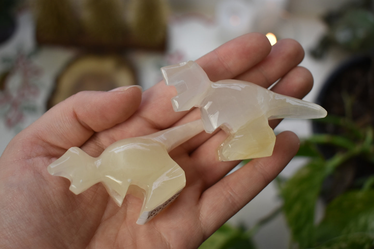 Amber Aragonite T-Rex