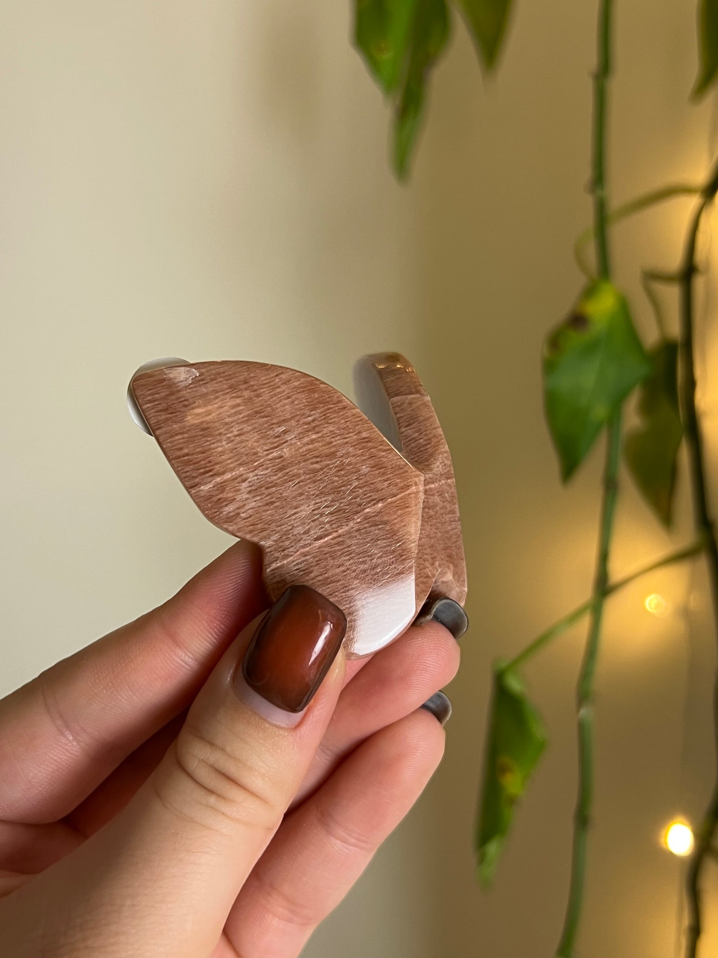 Peach Moonstone 3D Butterfly - F
