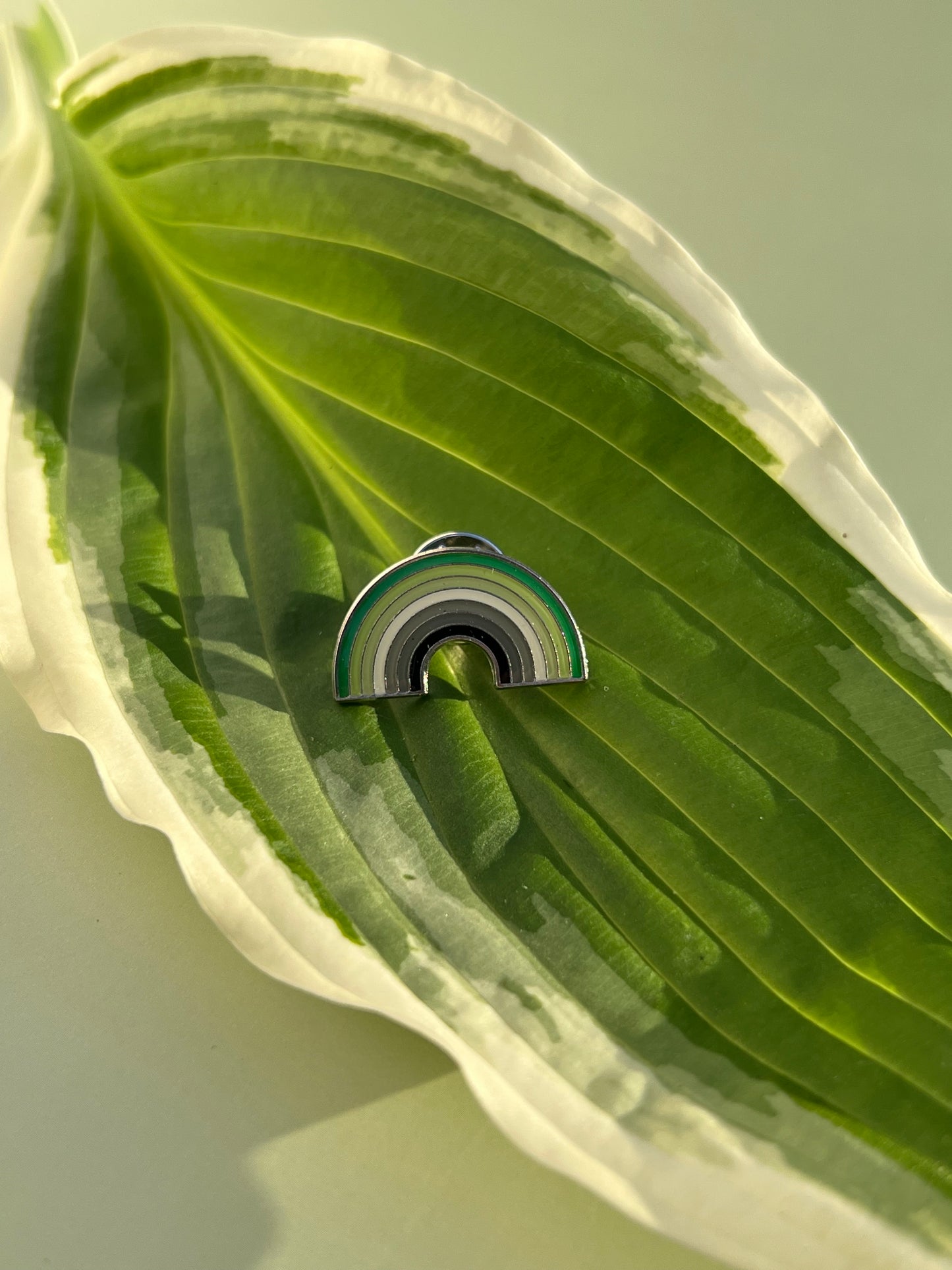 Aromantic Rainbow Pin