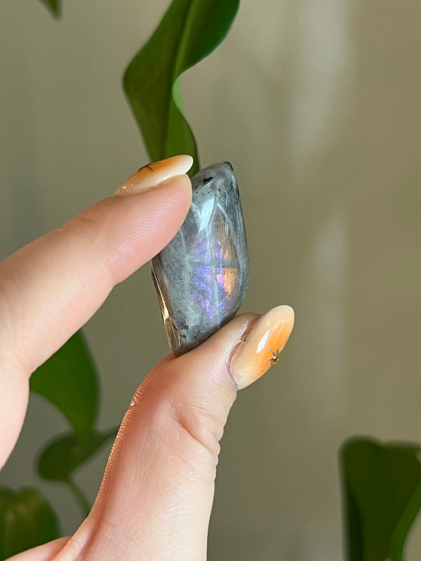Labradorite Cabachon