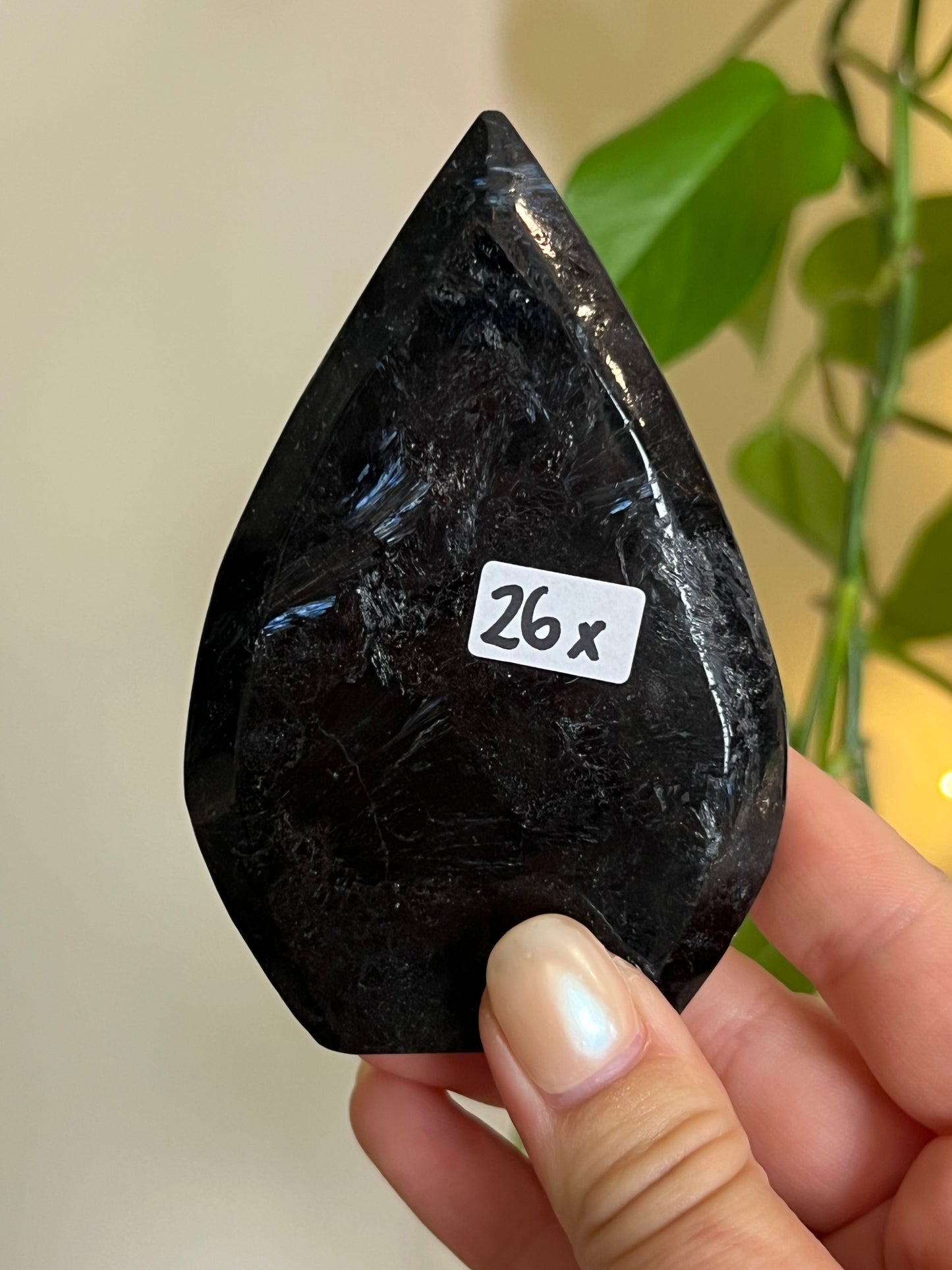 Astrophyllite on Matrix Freeform - X
