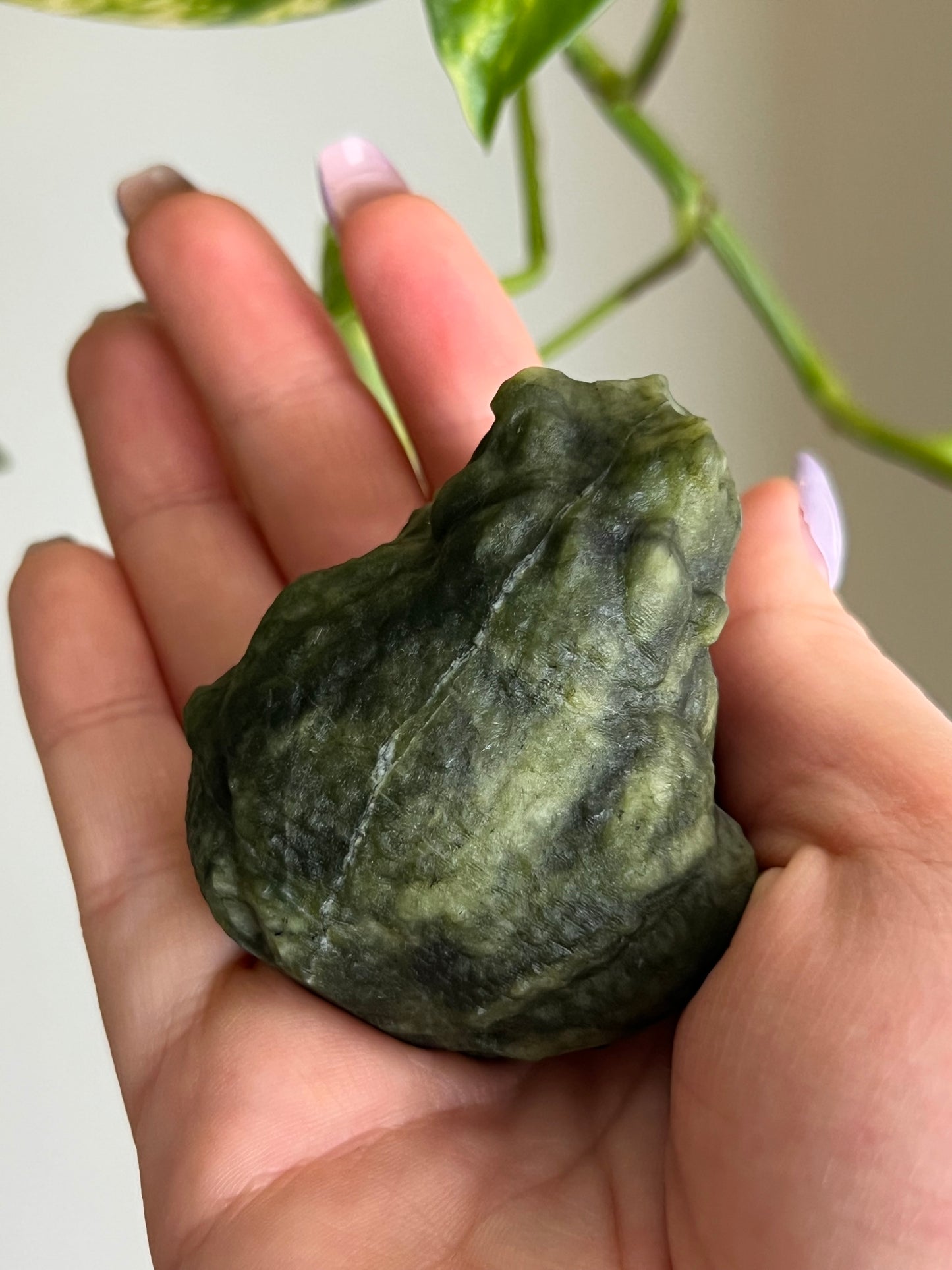 Jade Toad