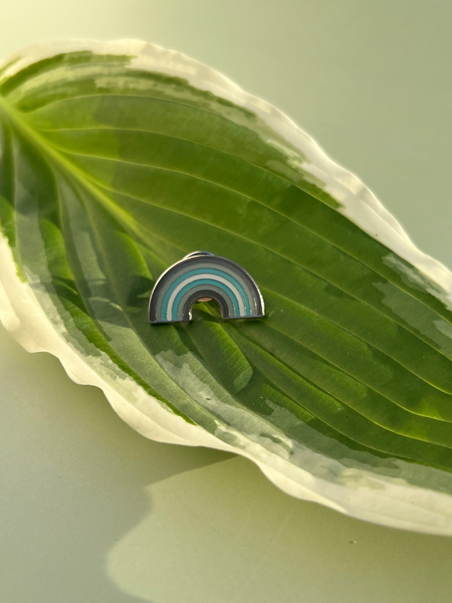 Demiboy Rainbow Pin