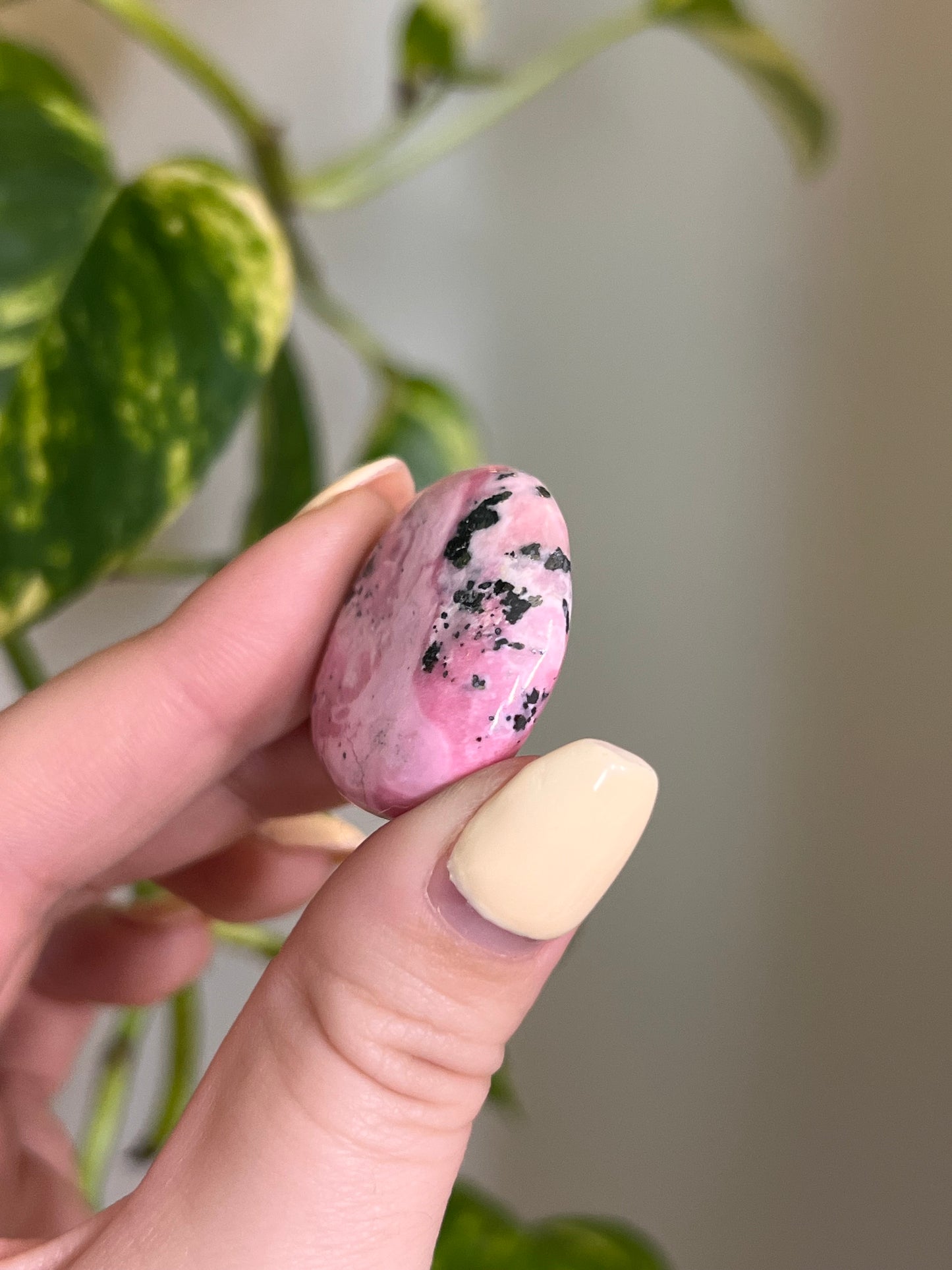 Bubblegum Rhodonite Button