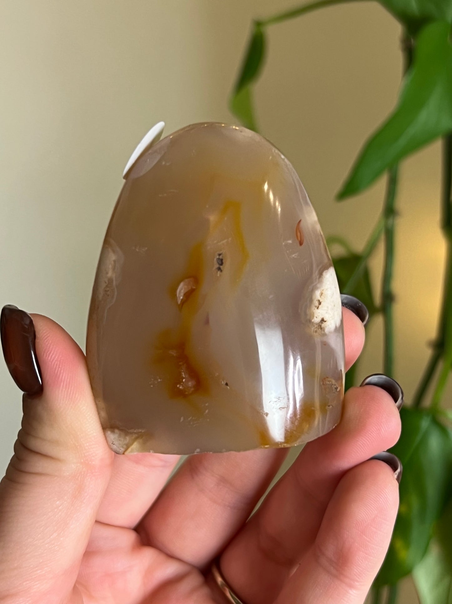 Flower Agate Freeform - W