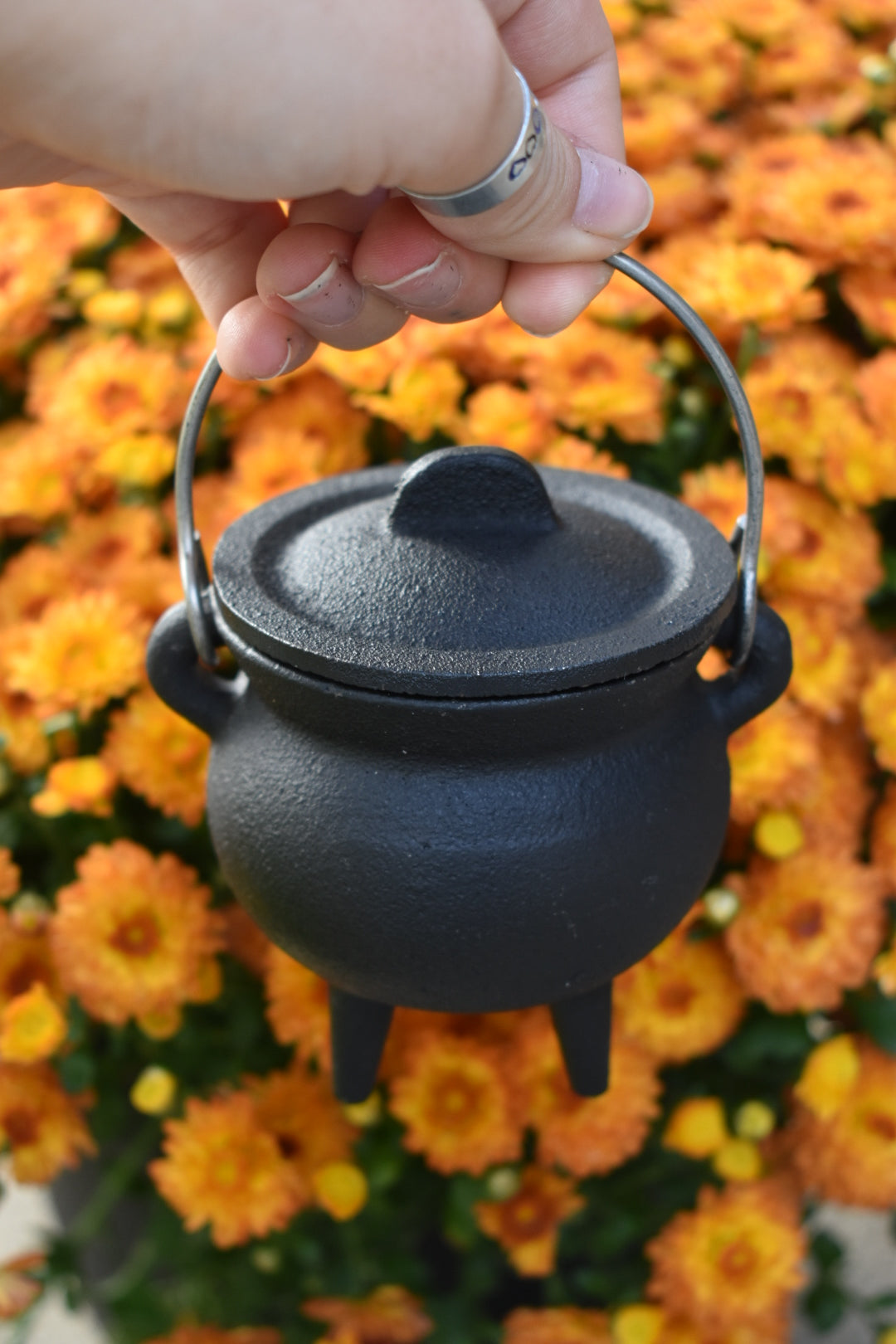 Abundance Cauldron Candle