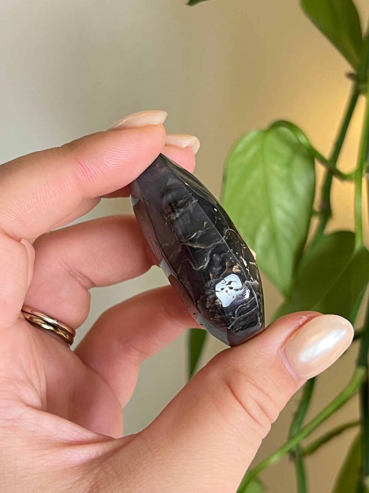 Volcano Agate Palm Stone - Small