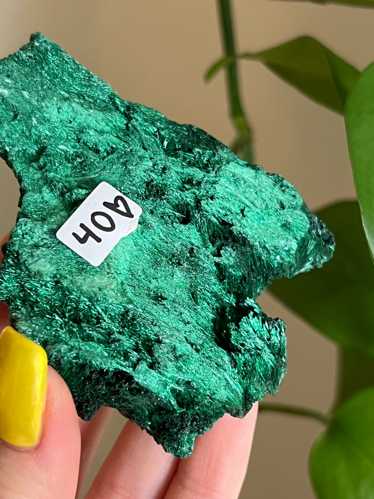 Velvet Malachite Raw B