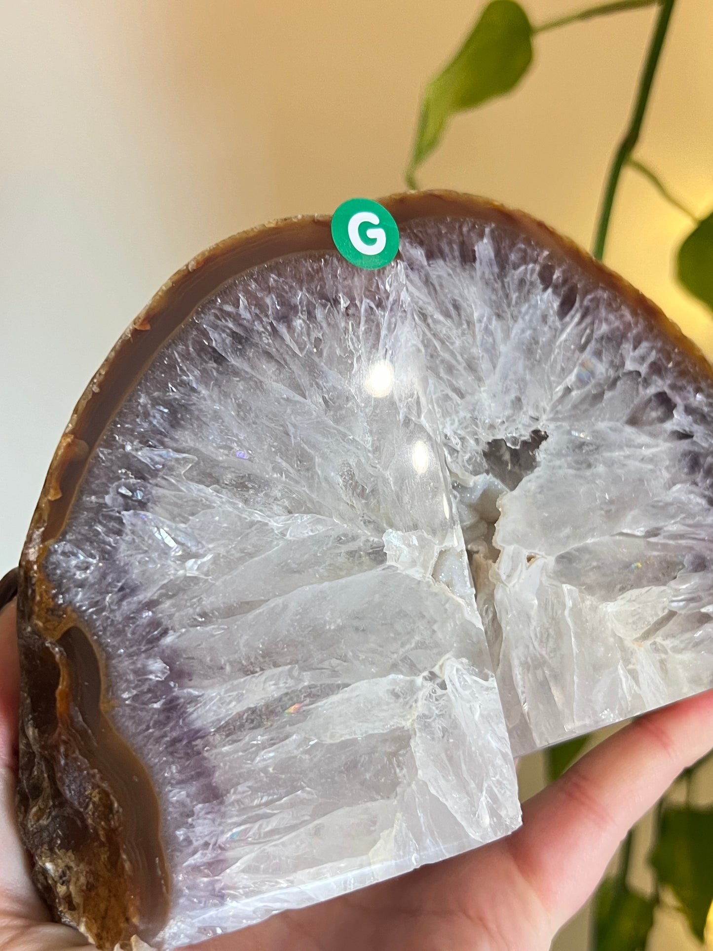 Druzy Agate Natural Bookends - G
