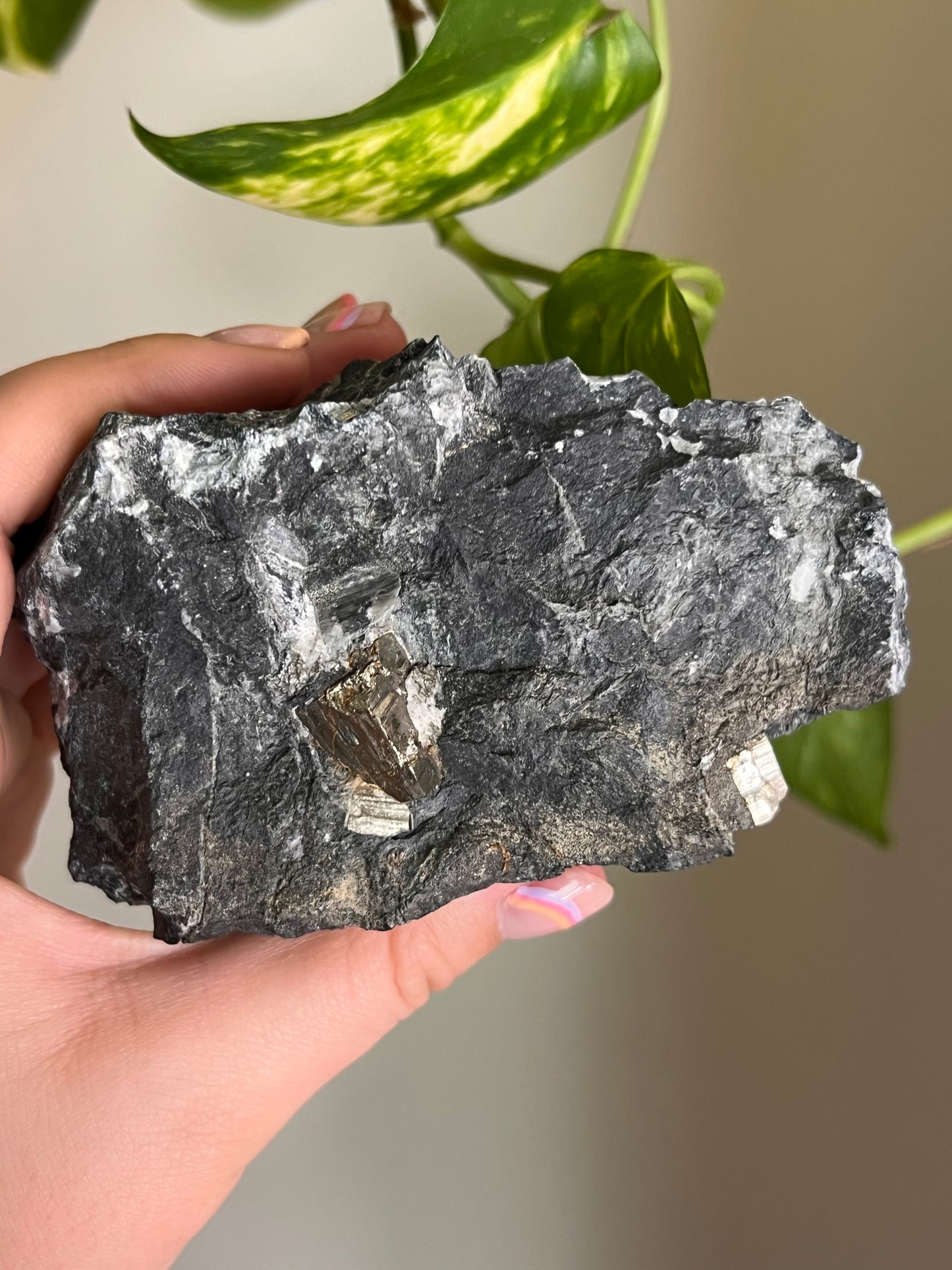 Pyrite on Matrix - Ontario - Large