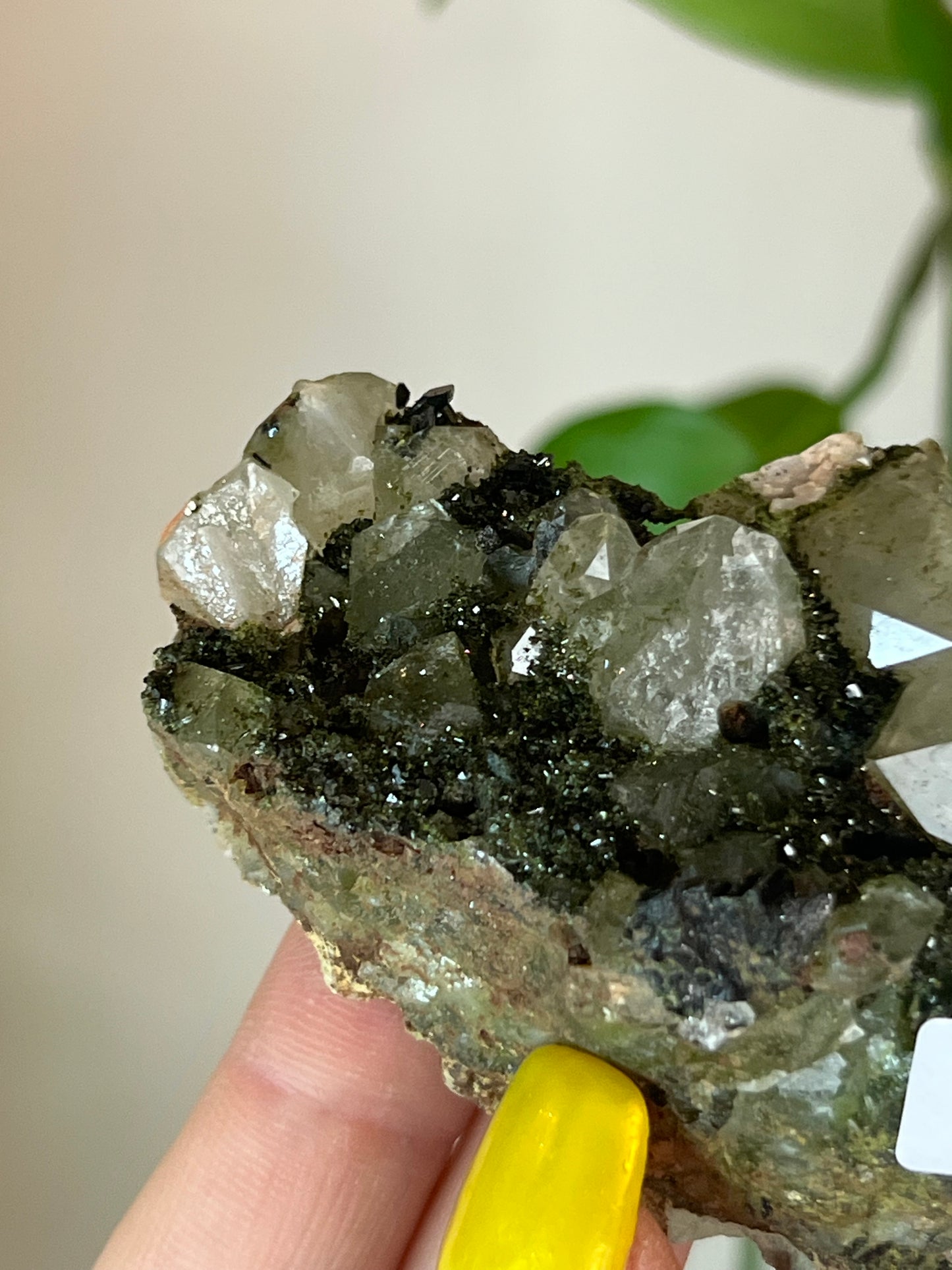 Forest Epidote Quartz Cluster - L