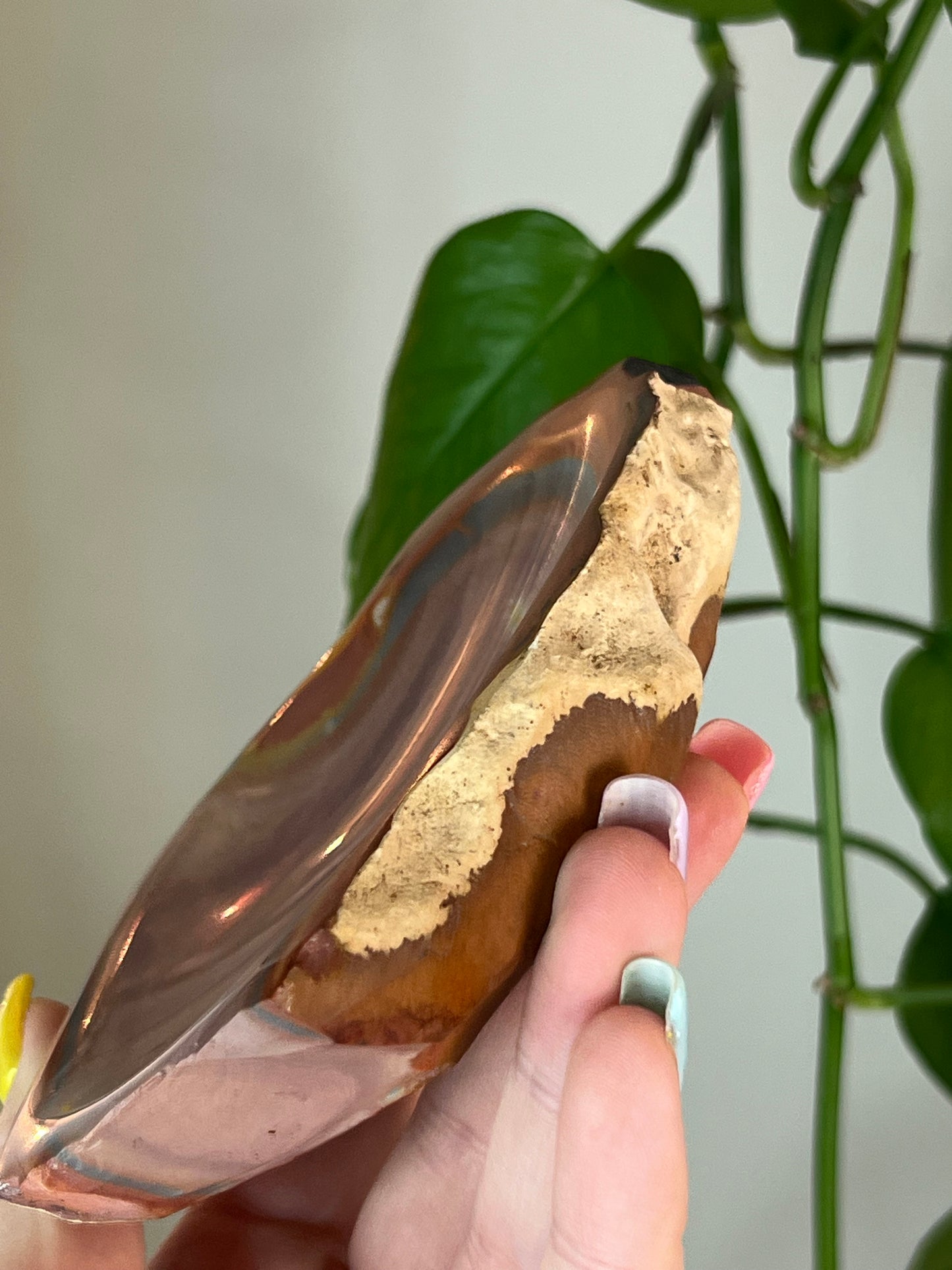 Polychrome Jasper Bowl
