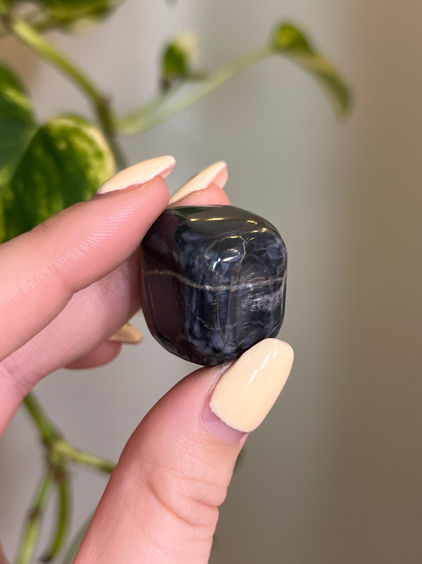 Black Jasper Tumbled