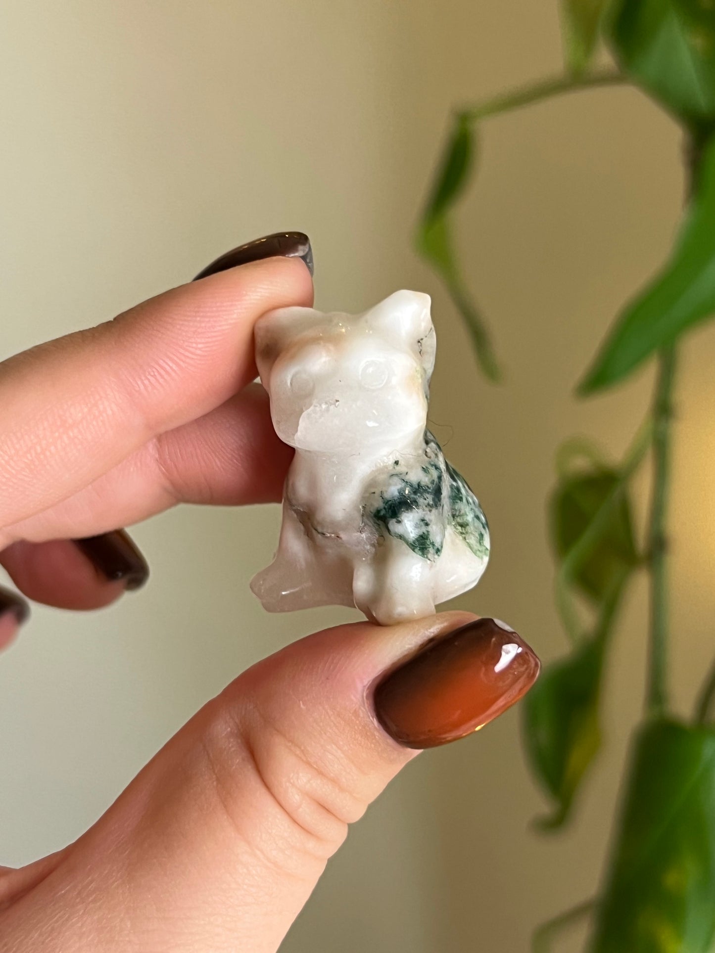 Tree Agate With Druzy Frenchie Dog