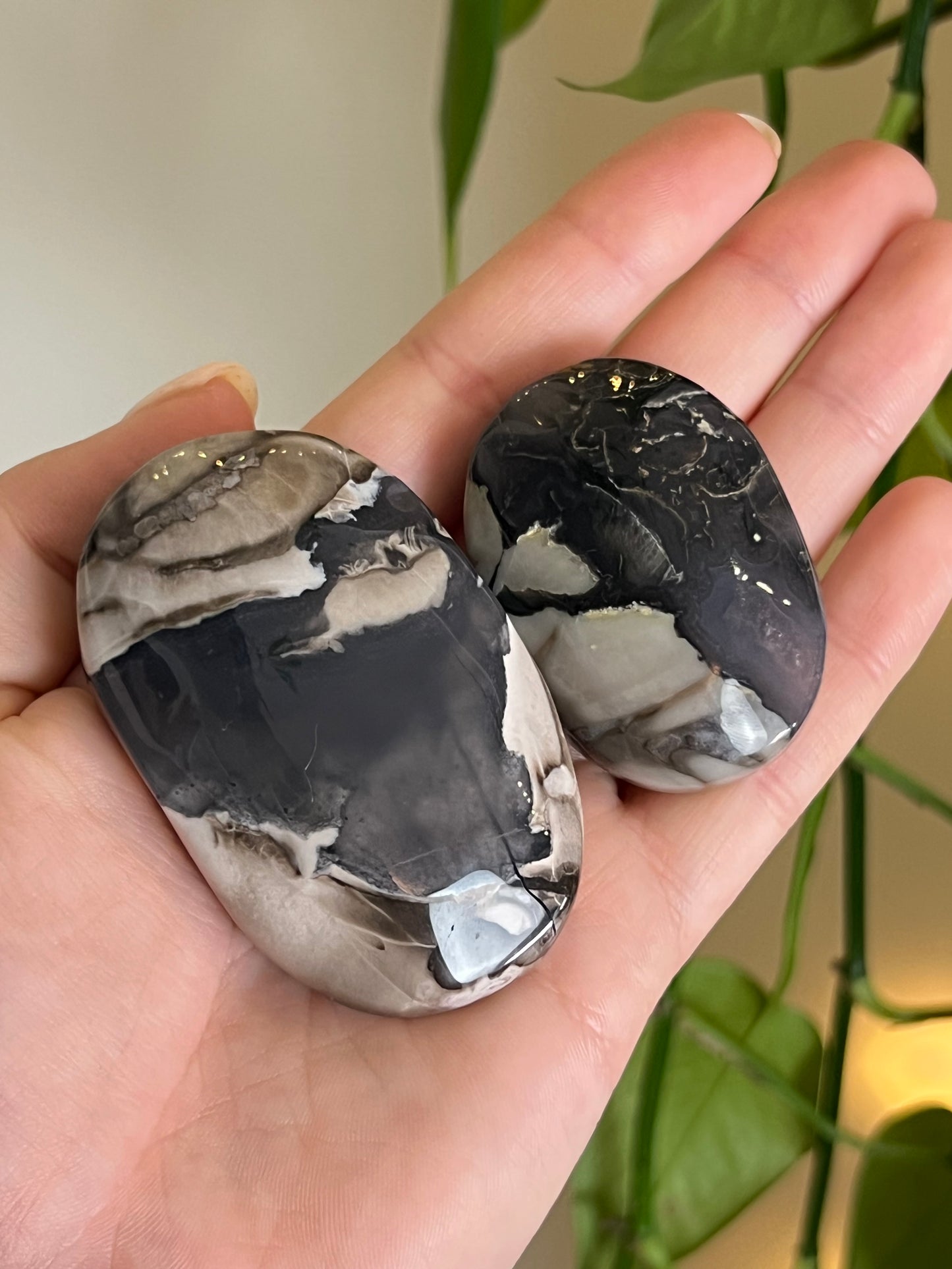 Volcano Agate Palm Stone - Large