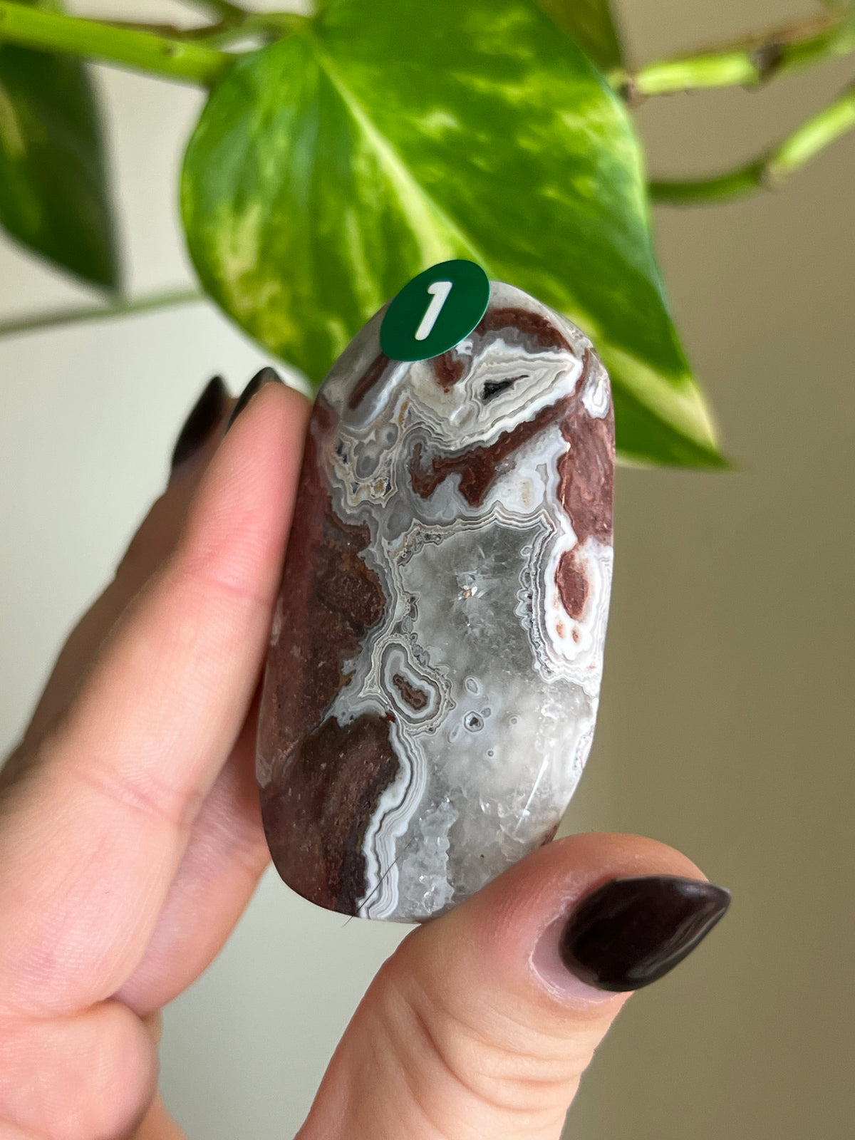 Druzy Mexican Lace Agate Palm Stone - 1