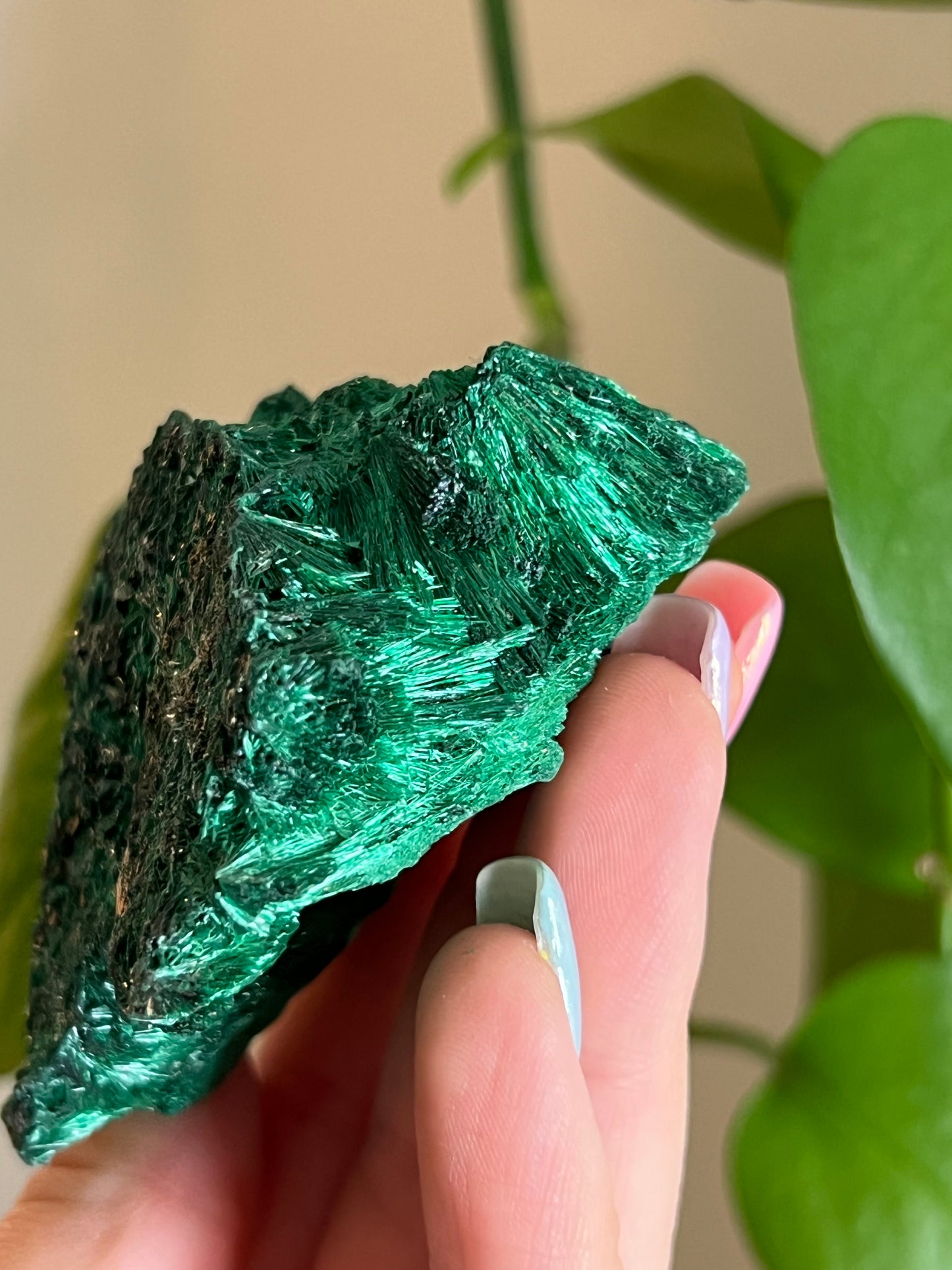 Velvet Malachite Raw B