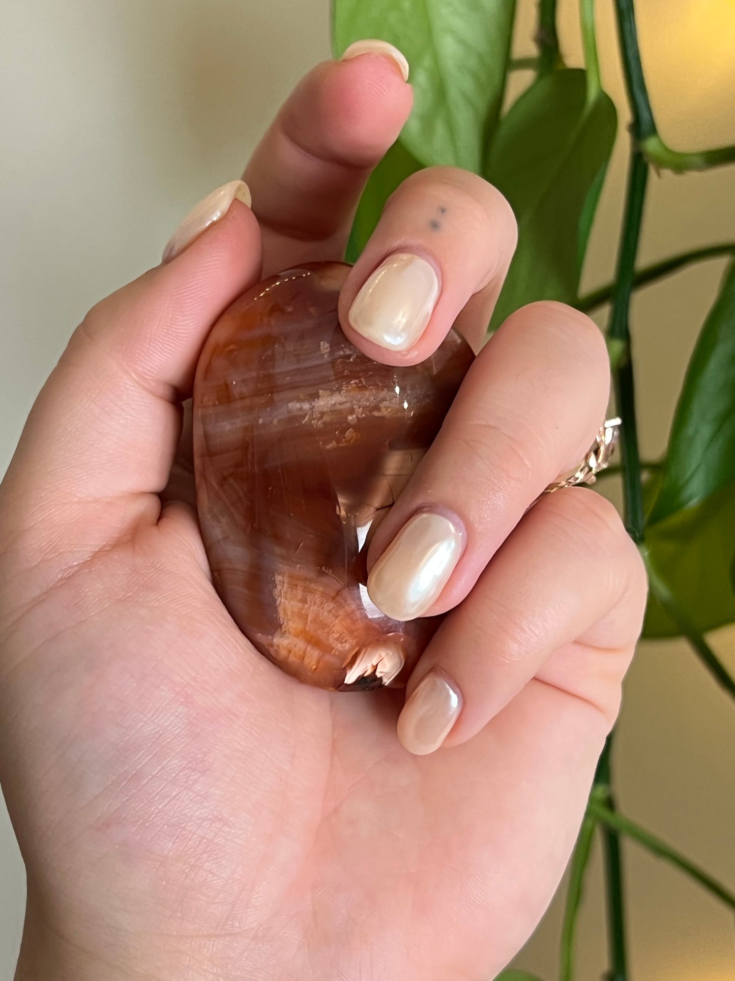 High Quality Carnelian Palm Stone i