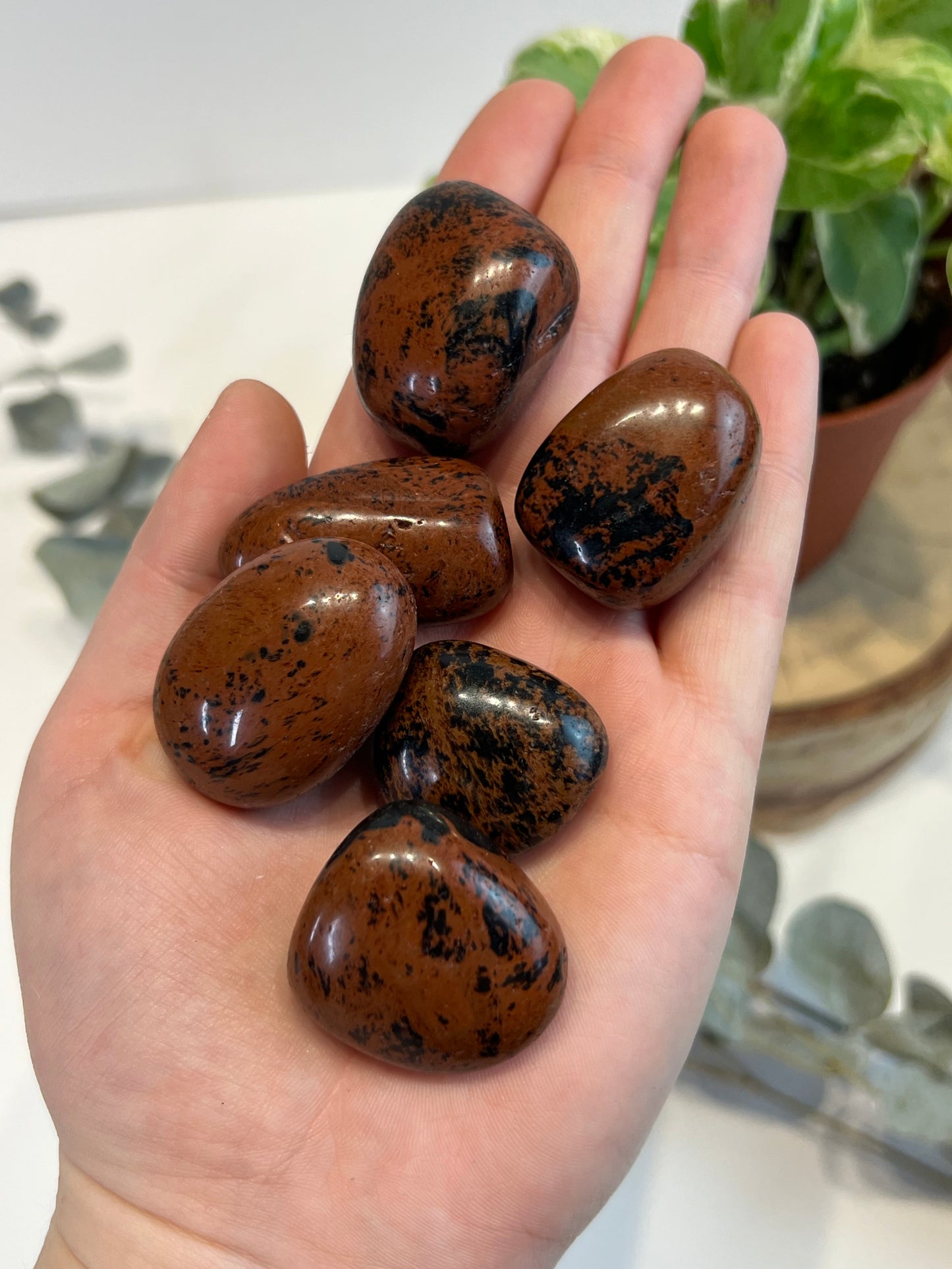 Obsidienne acajou (moyenne/grande)