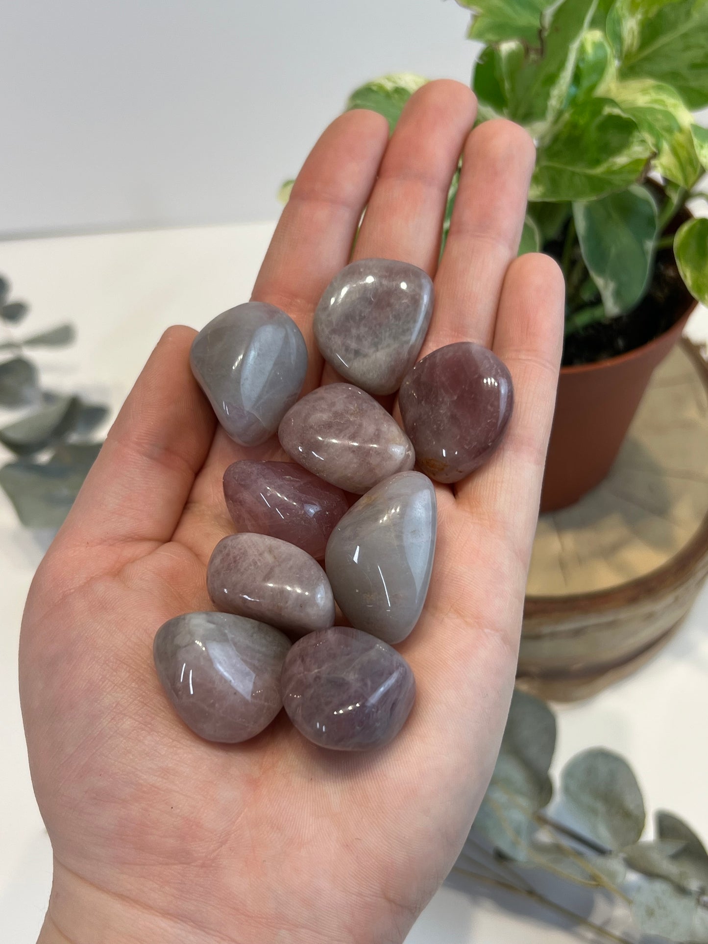 Purple Rose Quartz Tumbled