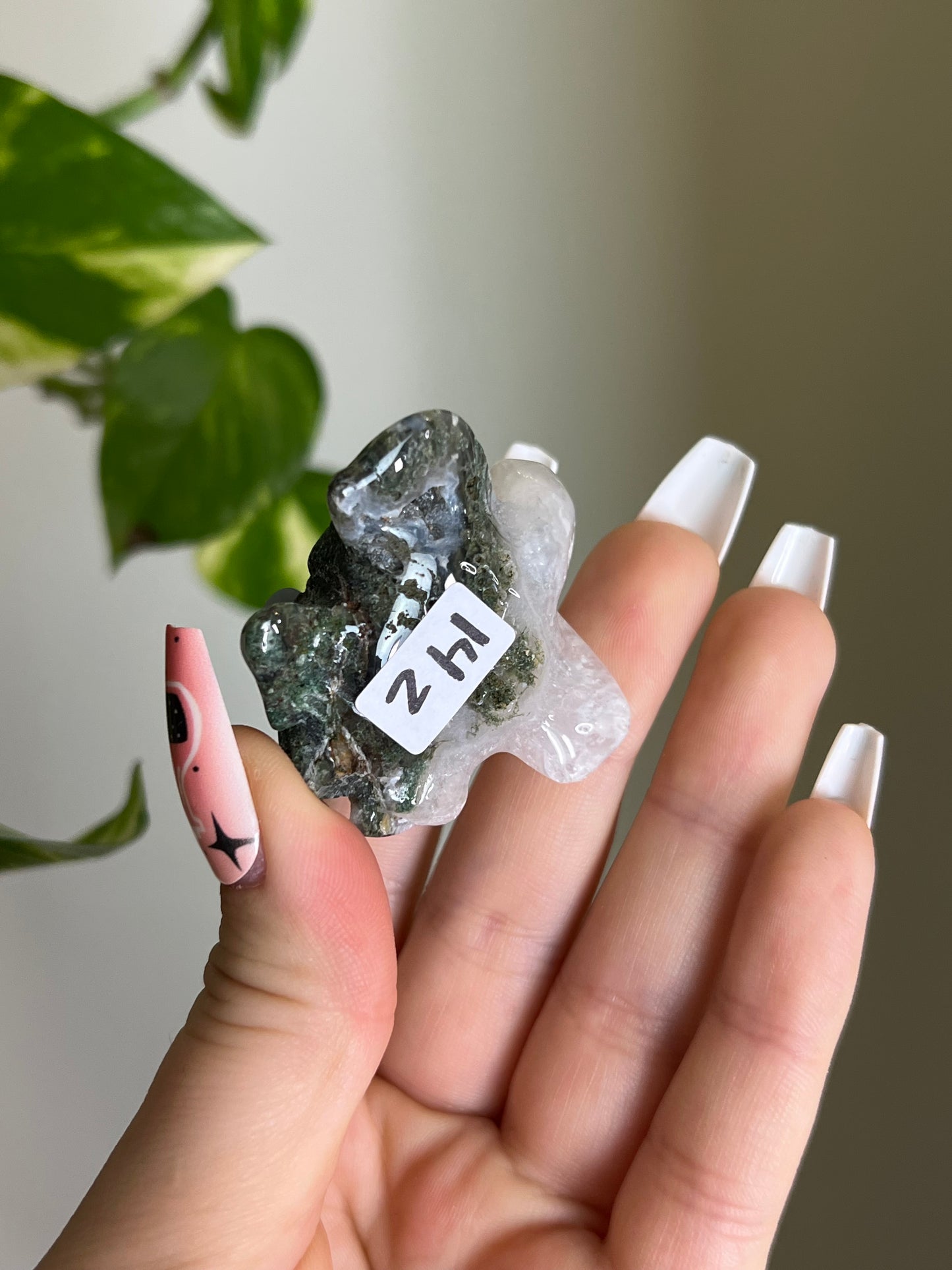 Moss Agate Sea Turtle - Z đą