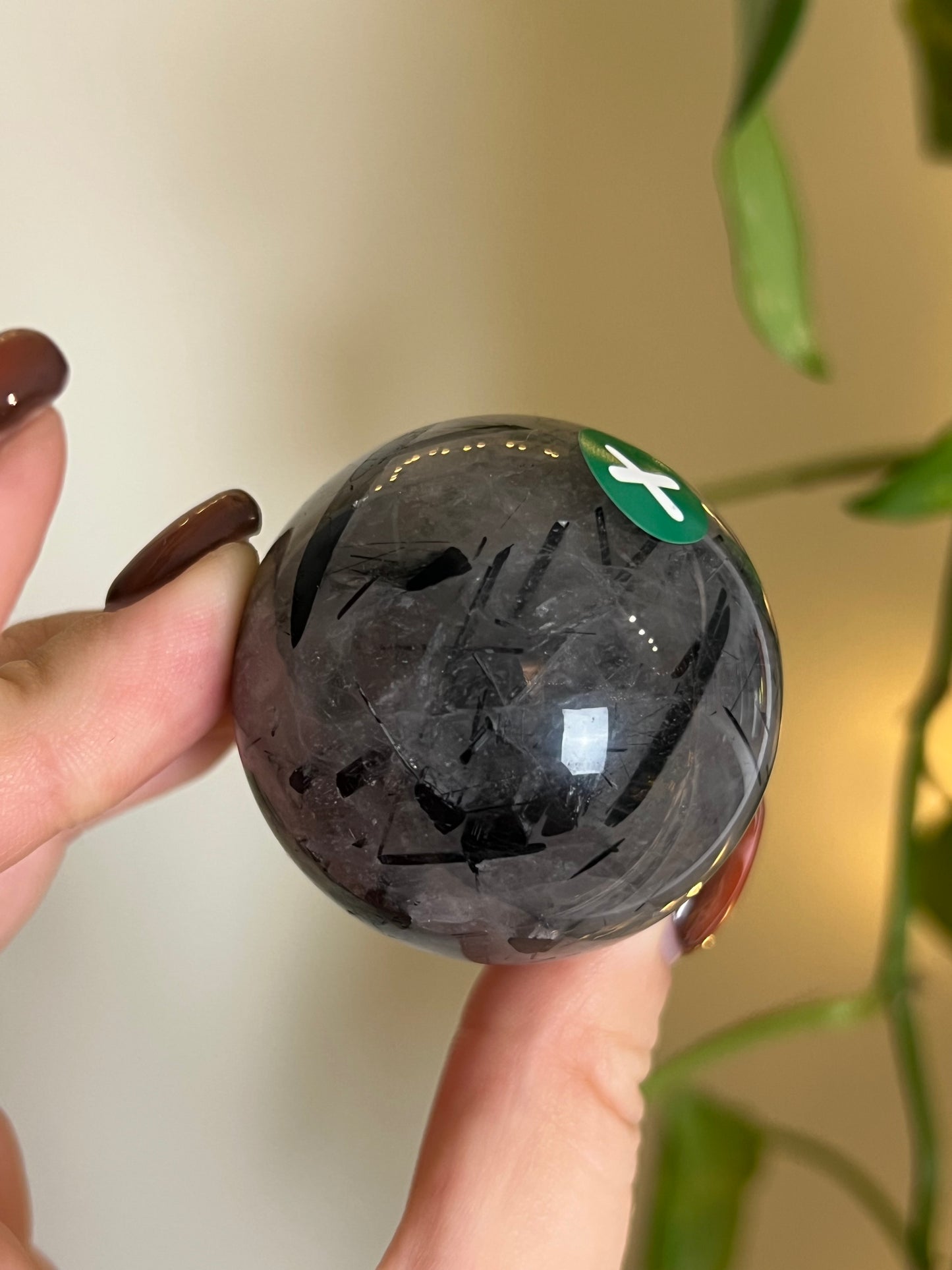 Black Tourmaline in Quartz Sphere - X