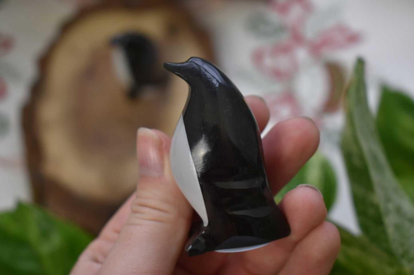 White & Black Aragonite Penguin