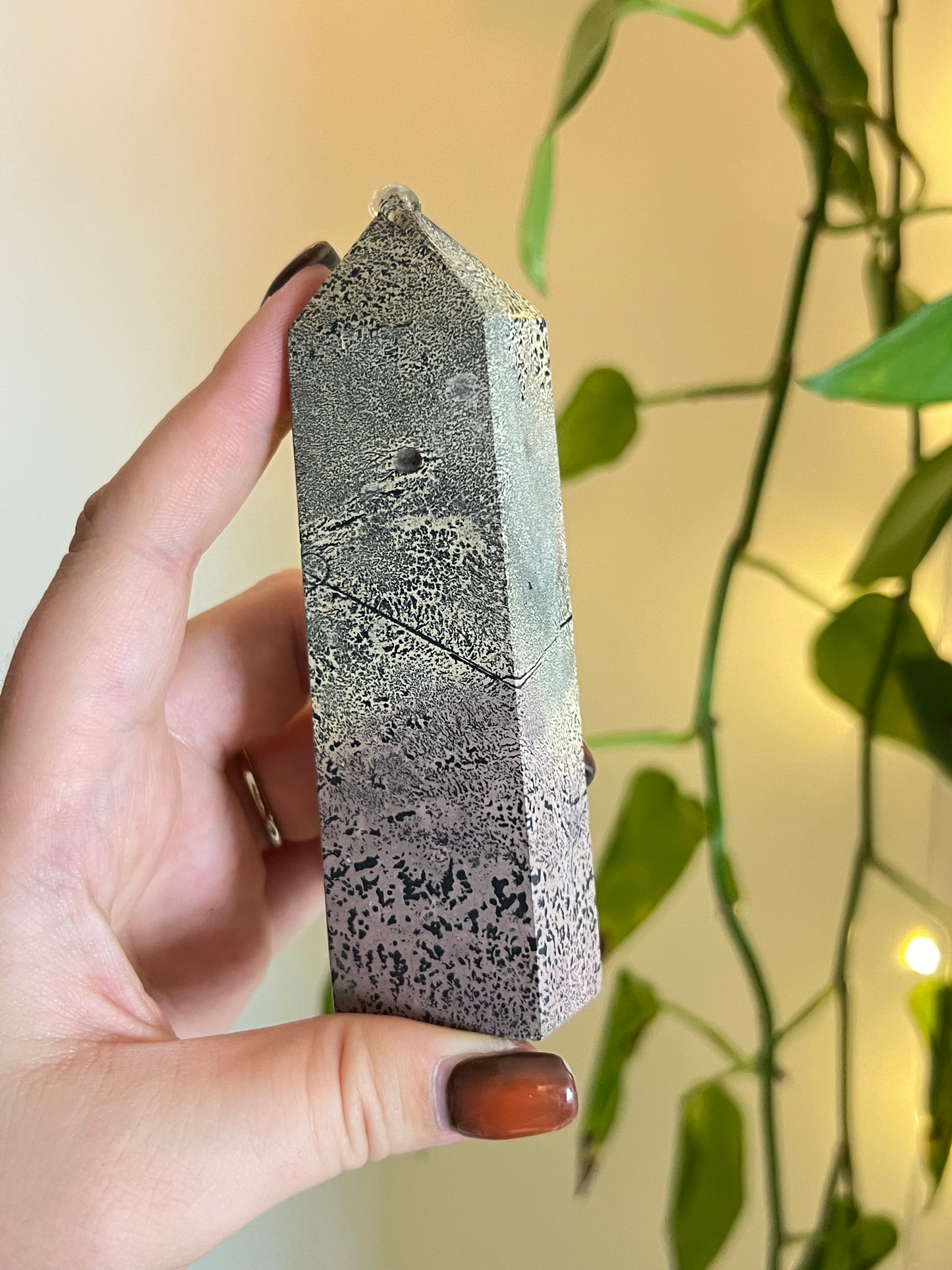 Picture Jasper Tower