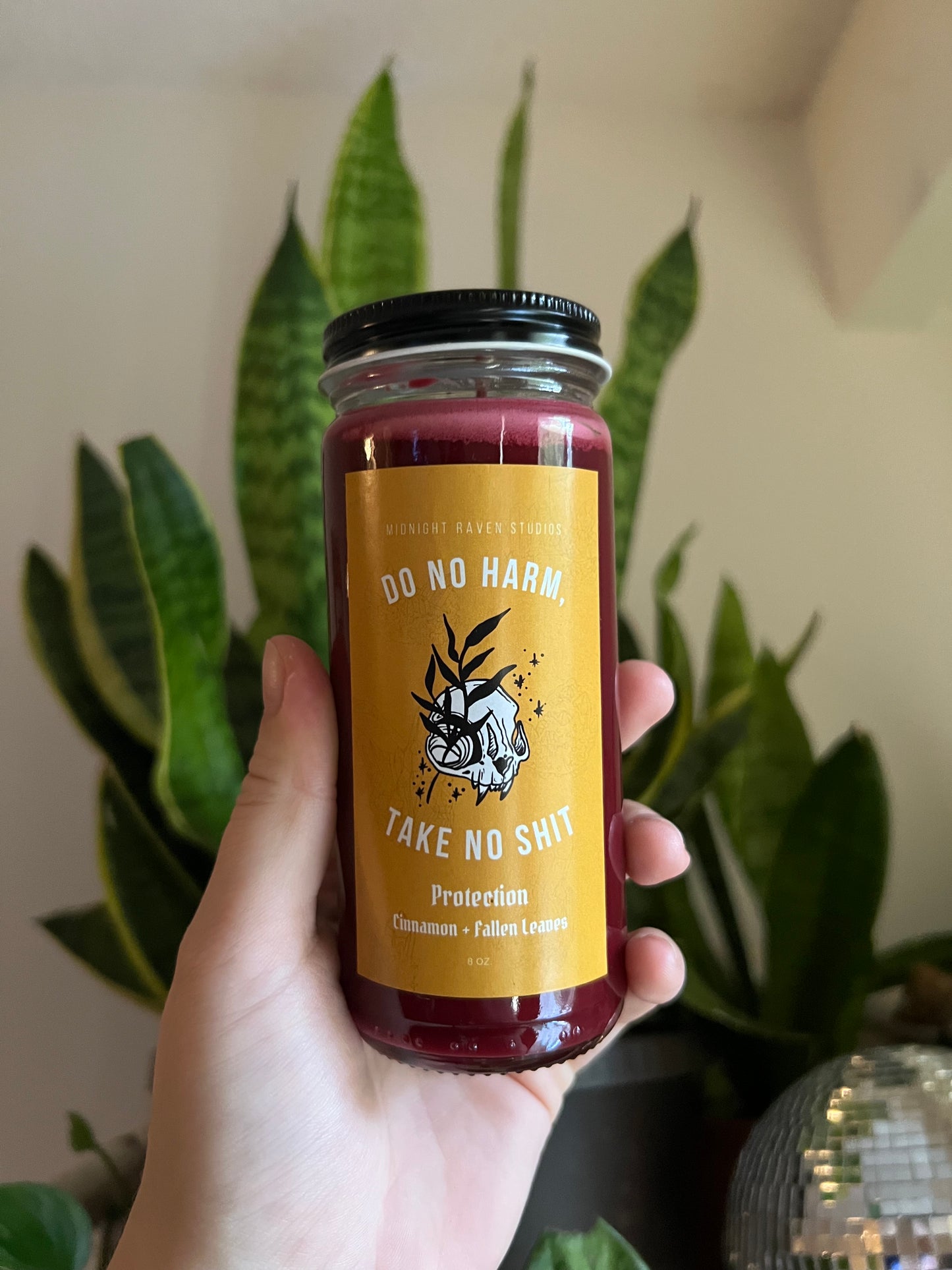 Do No Harm Take No Shit Candle