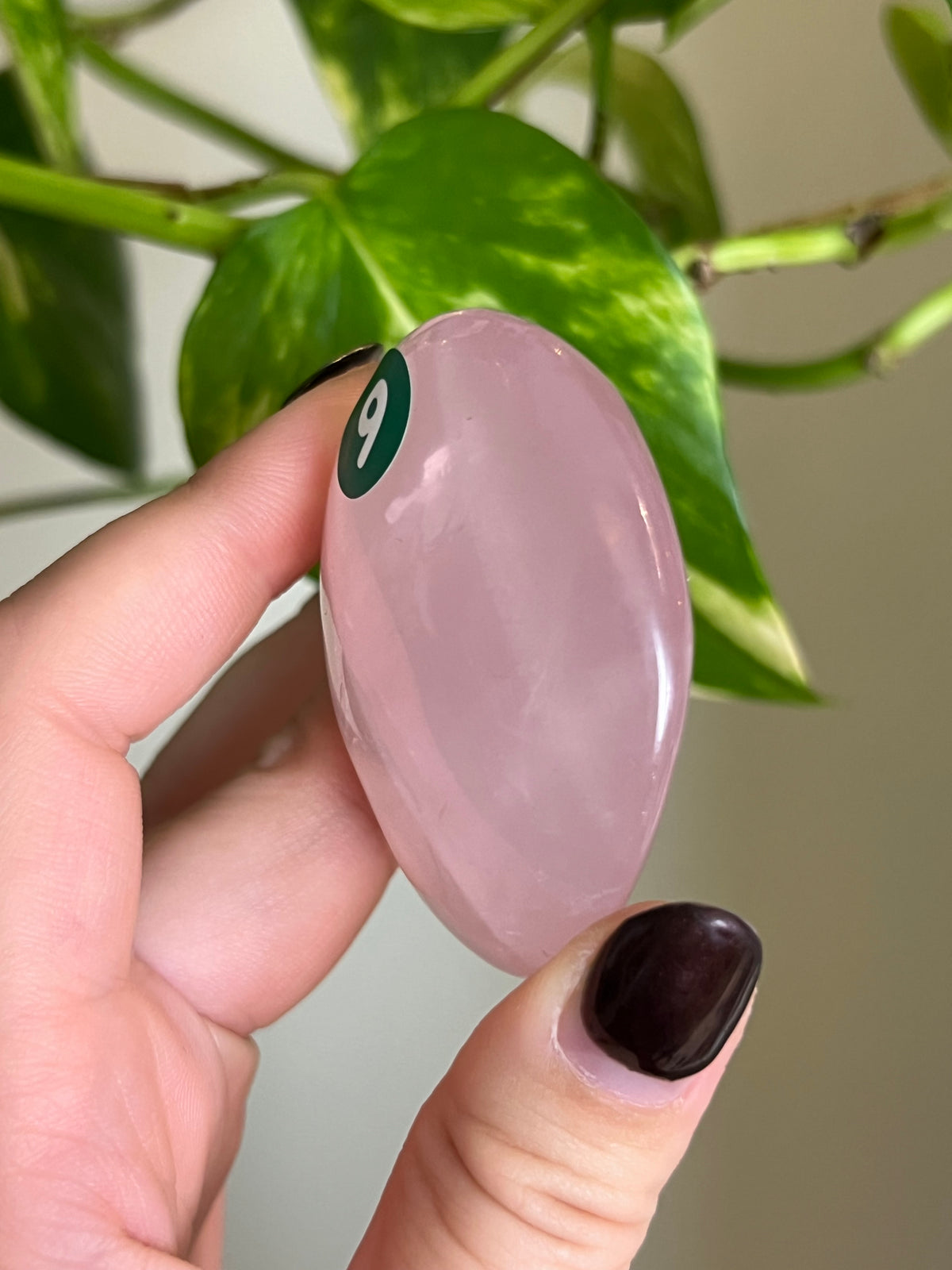 Rose Quartz Palm Stone - 9