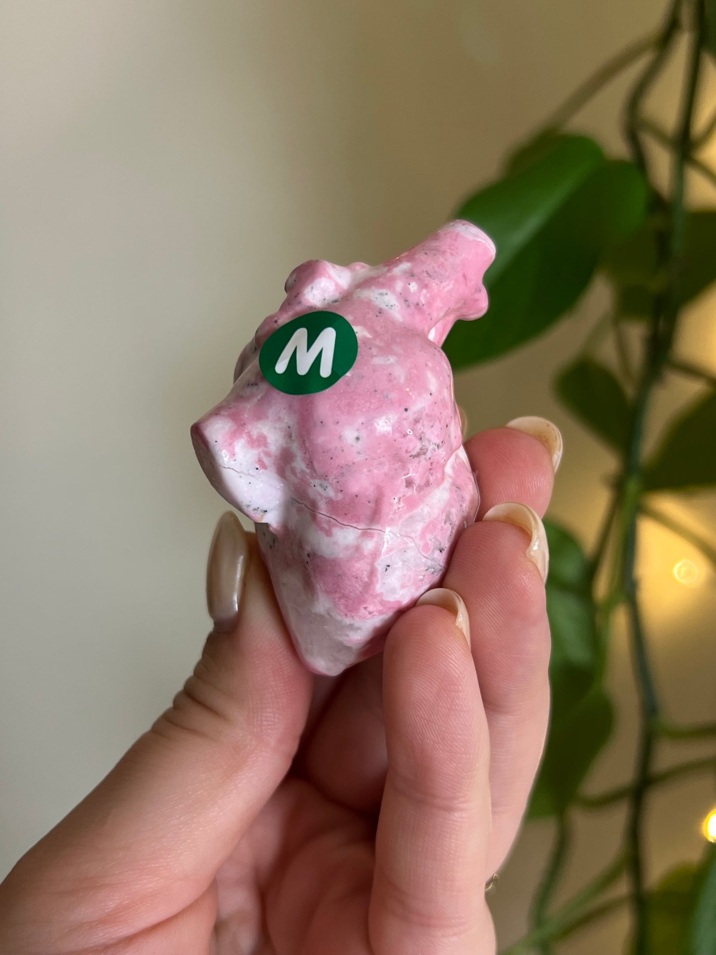 Peruvian Bubblegum Rhodonite Anatomical Heart - M
