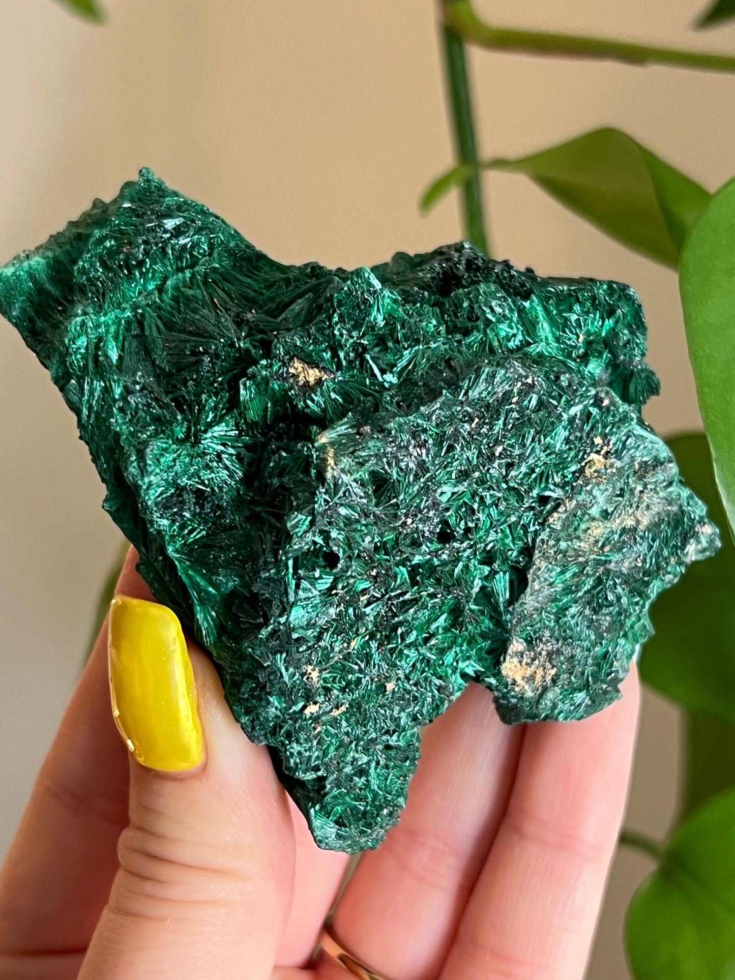 Velvet Malachite Raw B