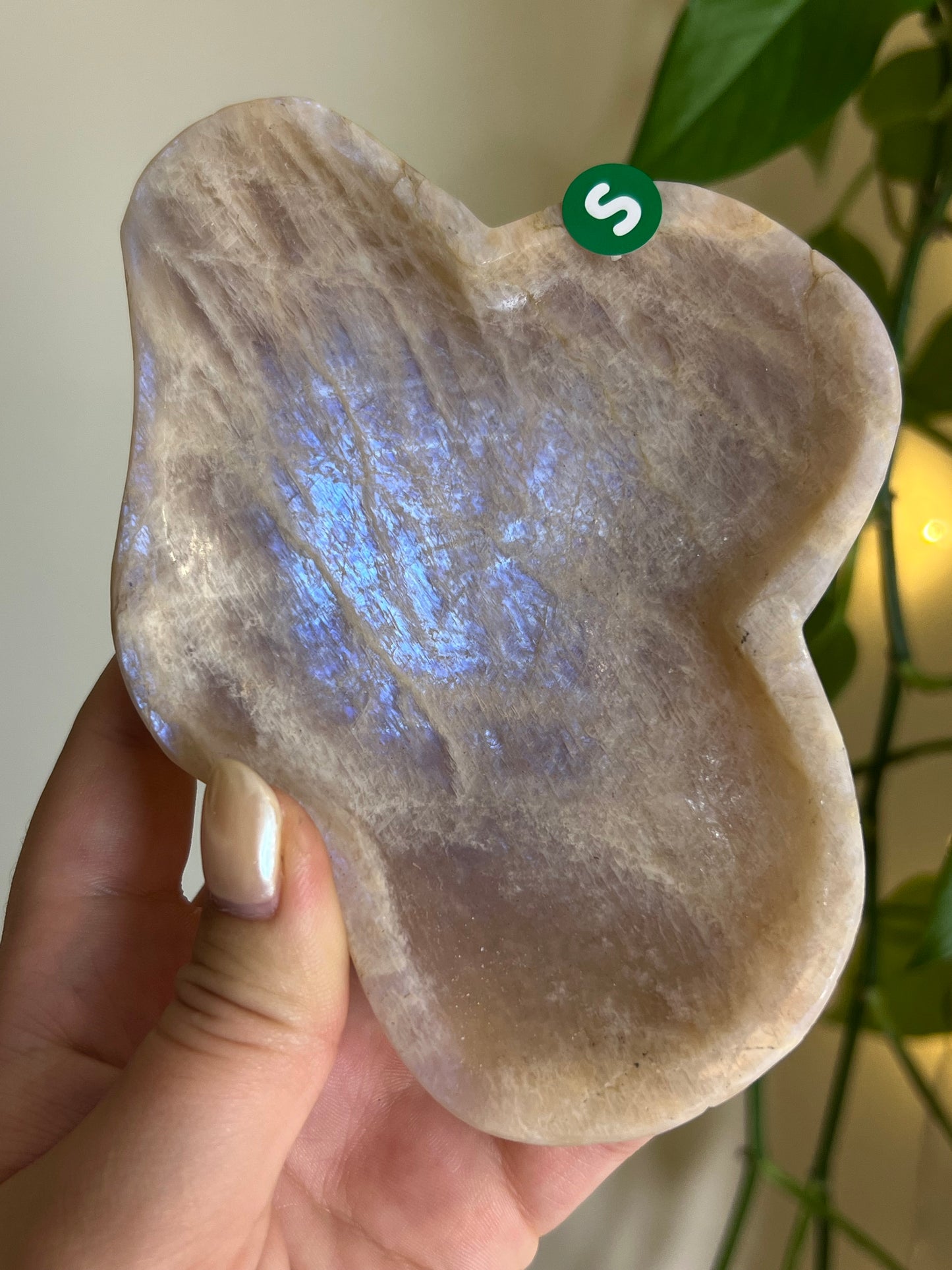 Flashy Moonstone Bowl - S