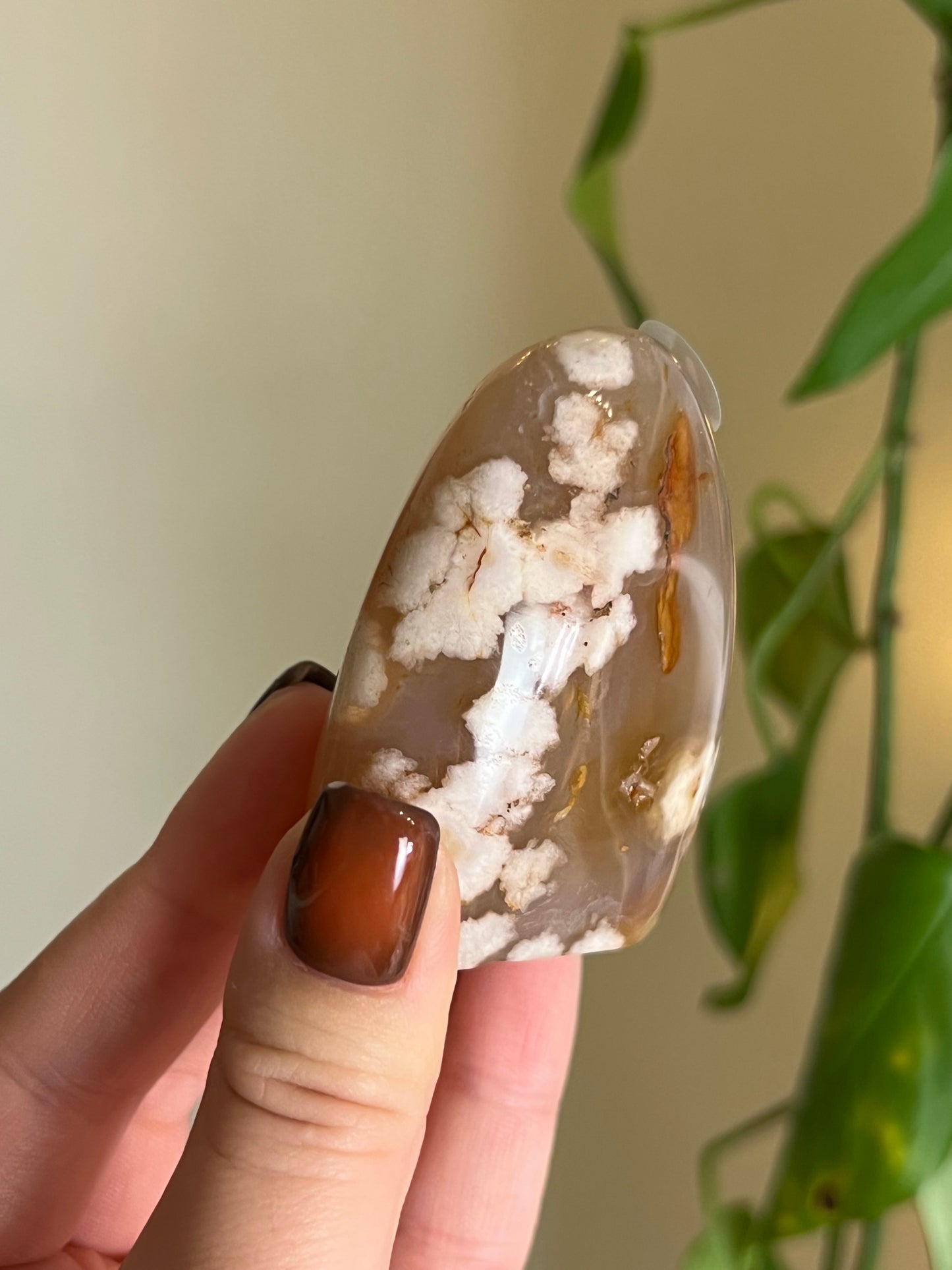 Flower Agate Freeform - W