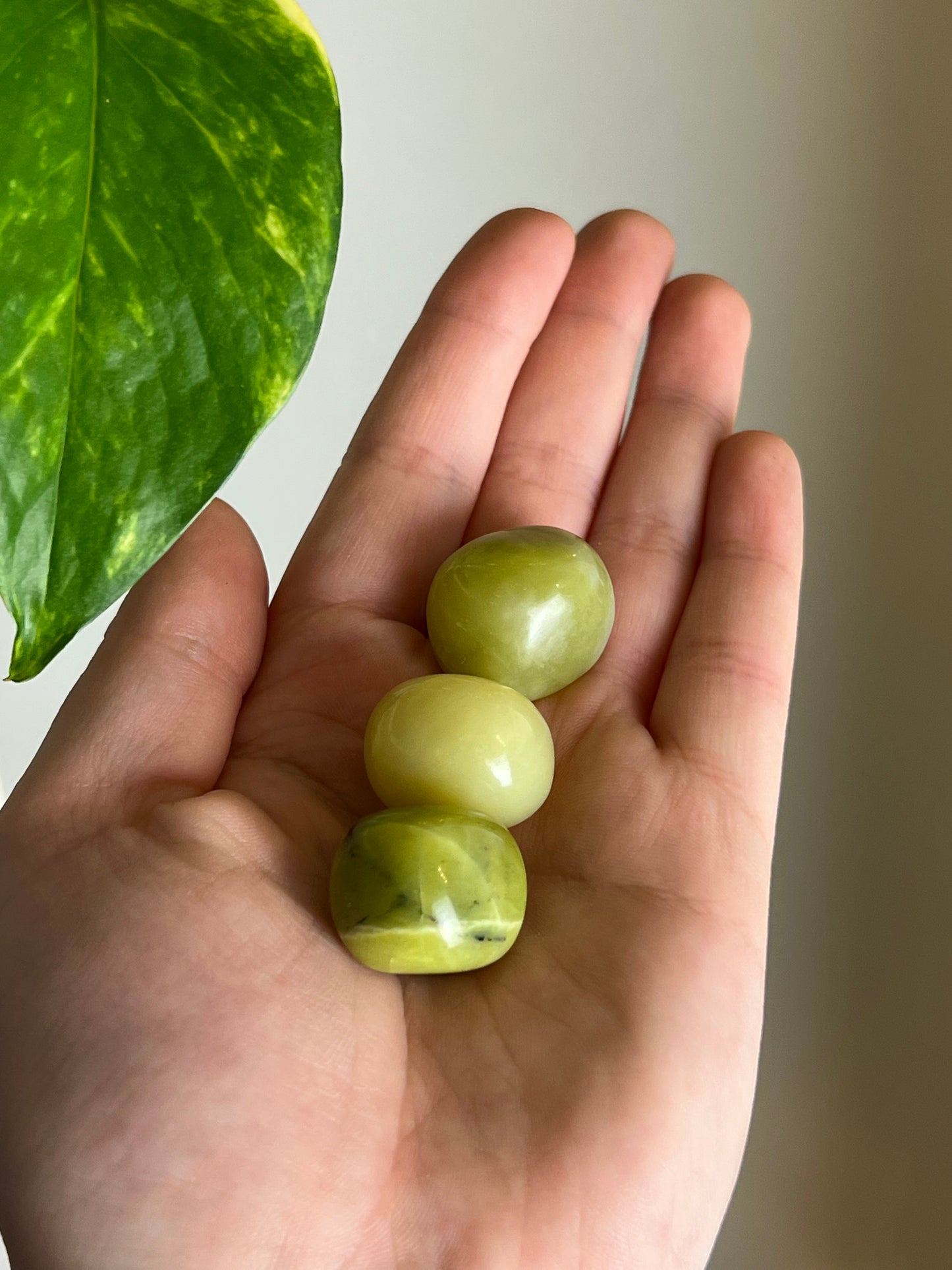 Lime Serpentine Tumbled