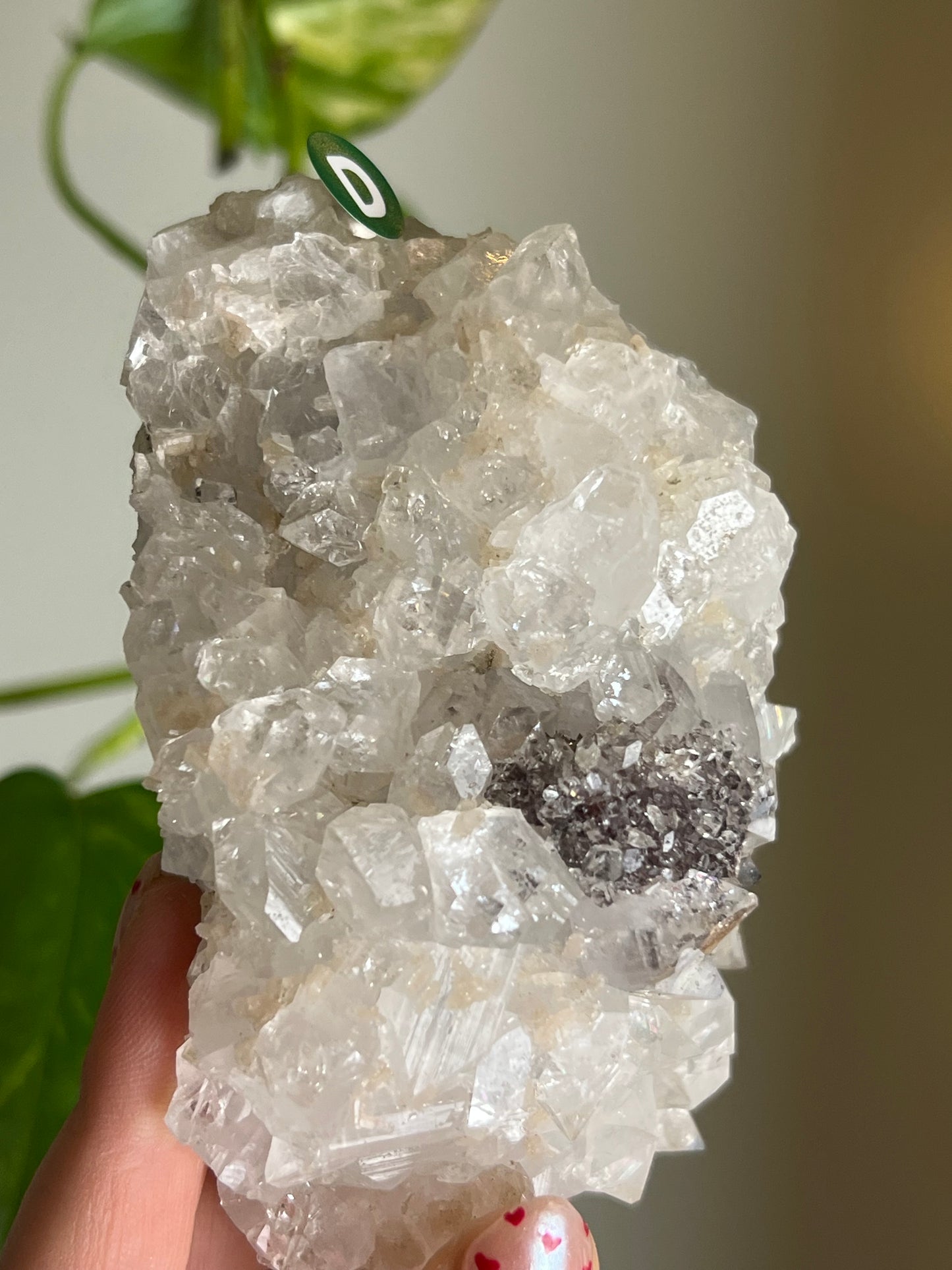 Apophyllite with Celadonite Inclusions Cluster - D