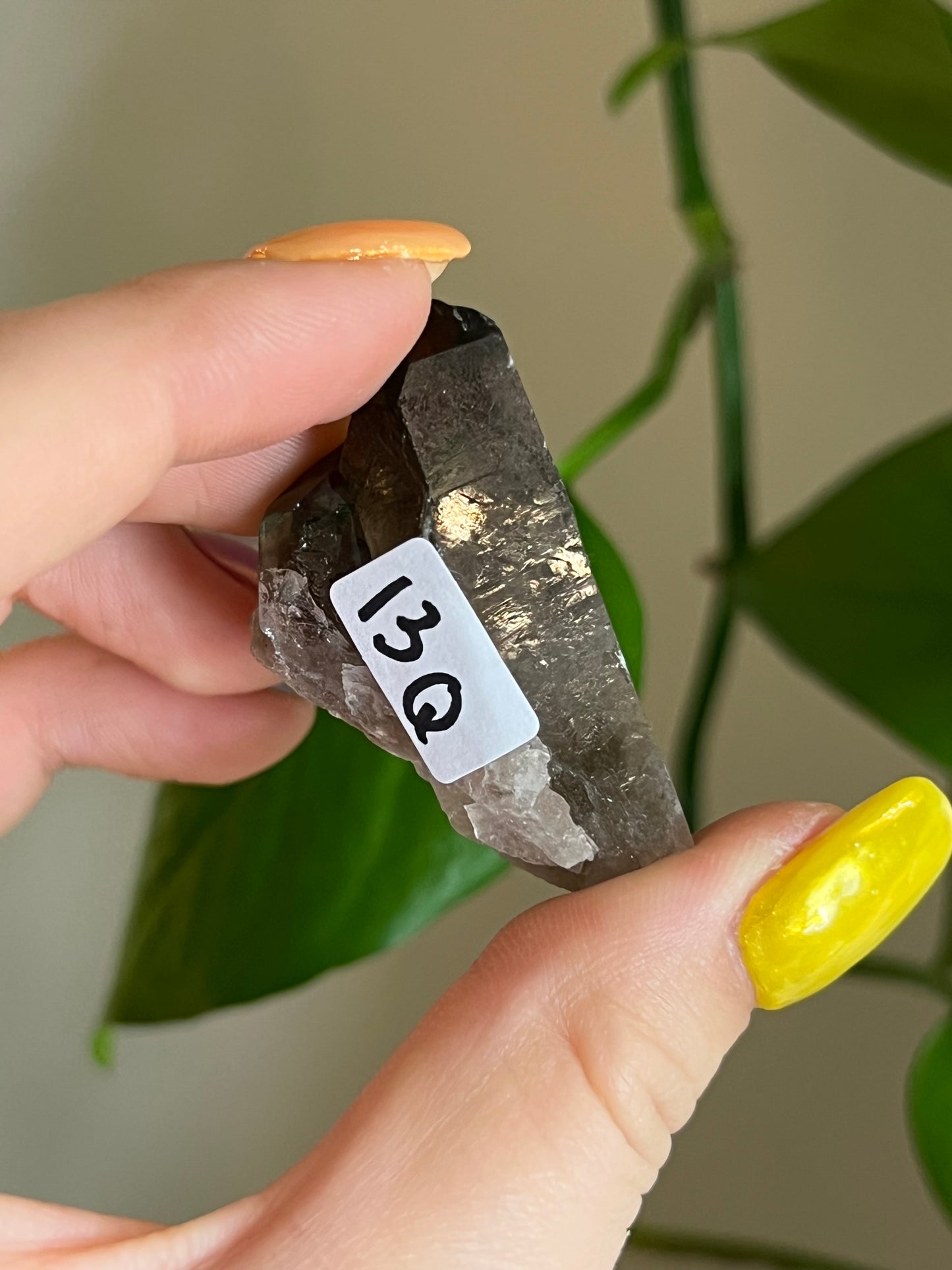 Mini Smoky Quartz Cluster Q