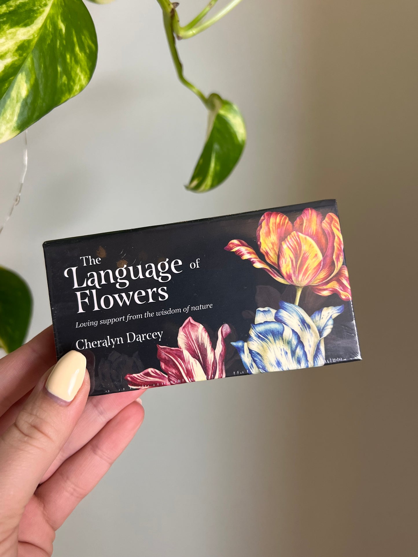The Language of Flowers Mini Deck