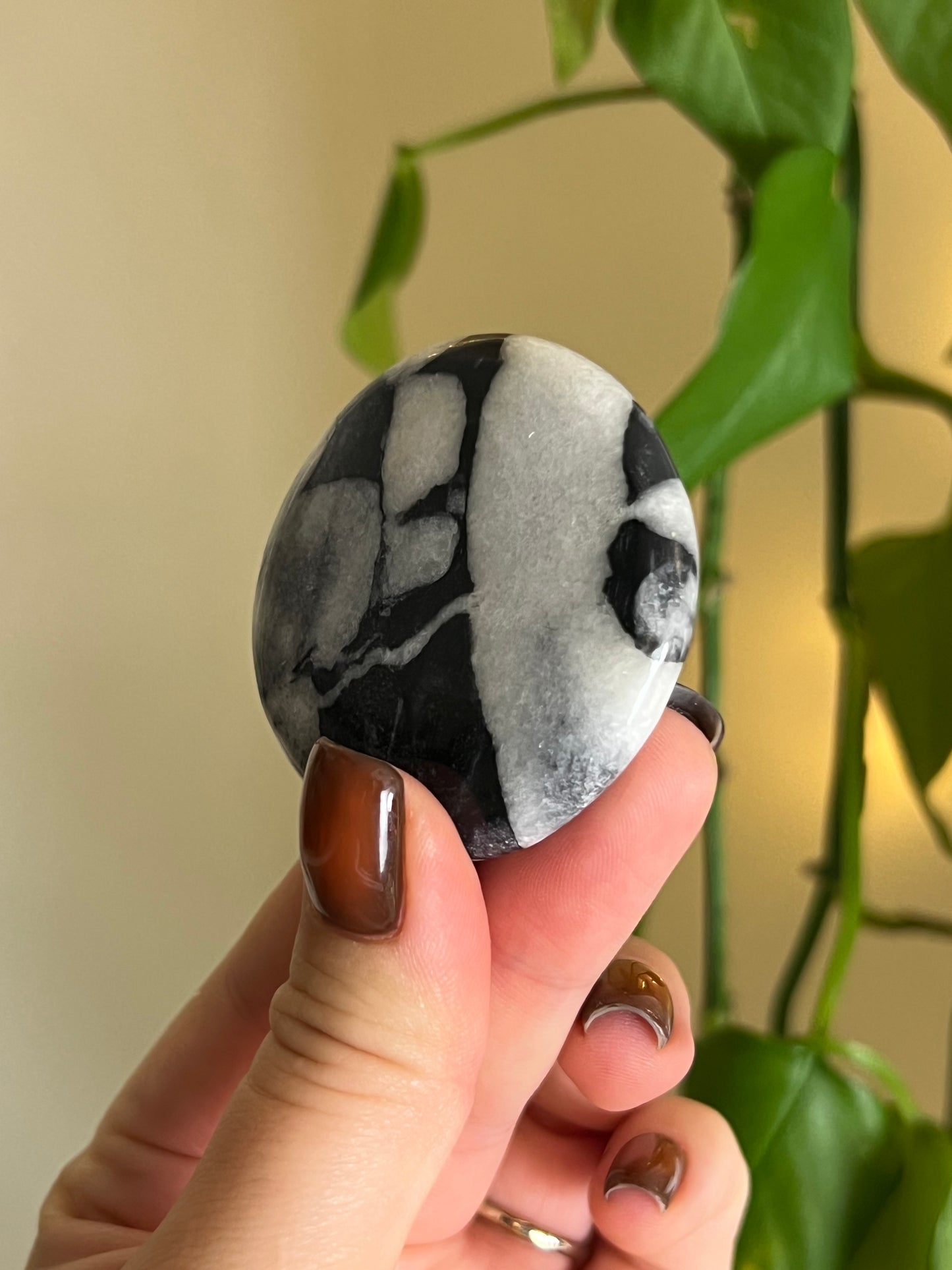 Shell Jasper Medium Flat Stone
