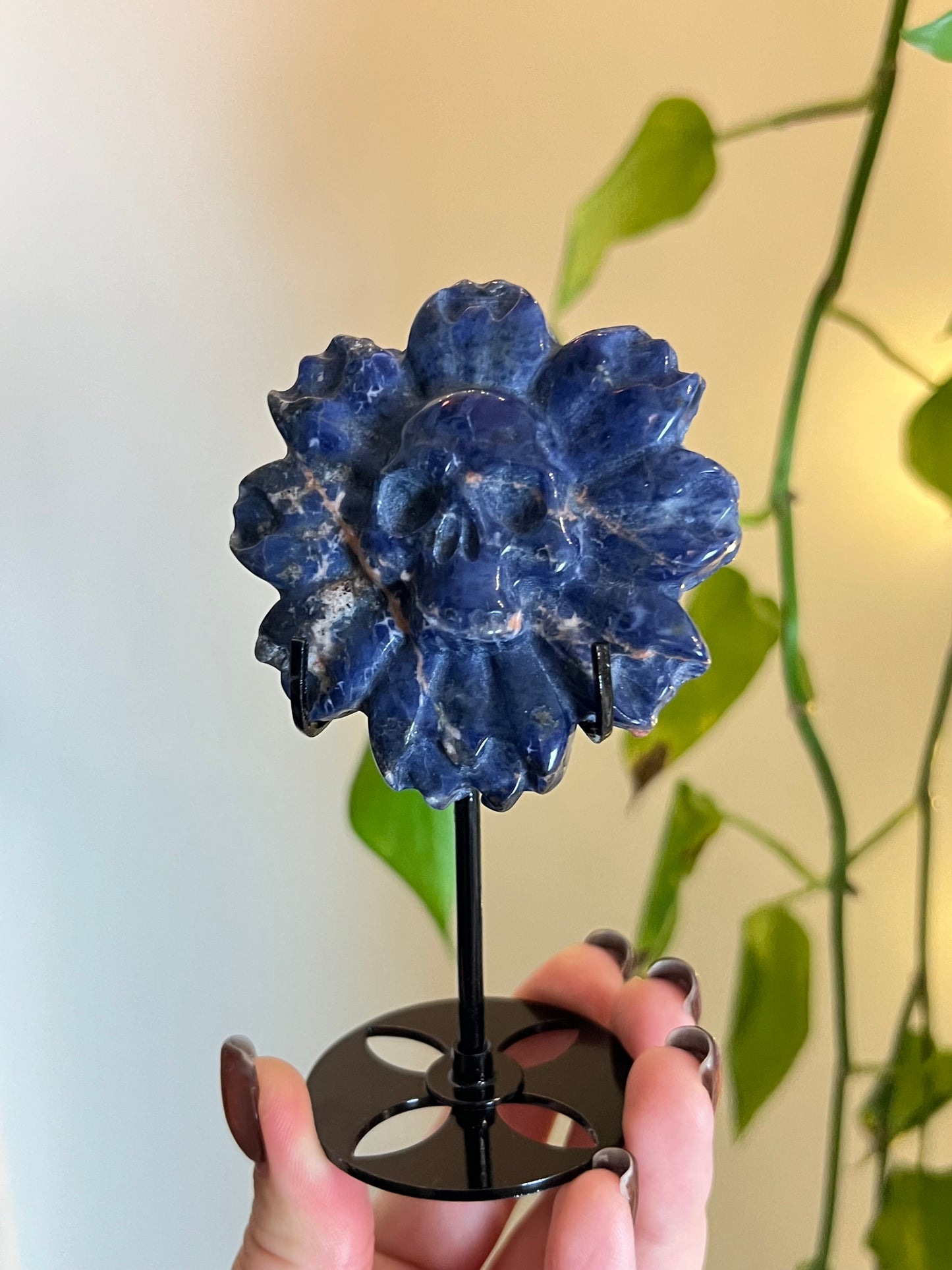 Sodalite Skull Flower on Stand