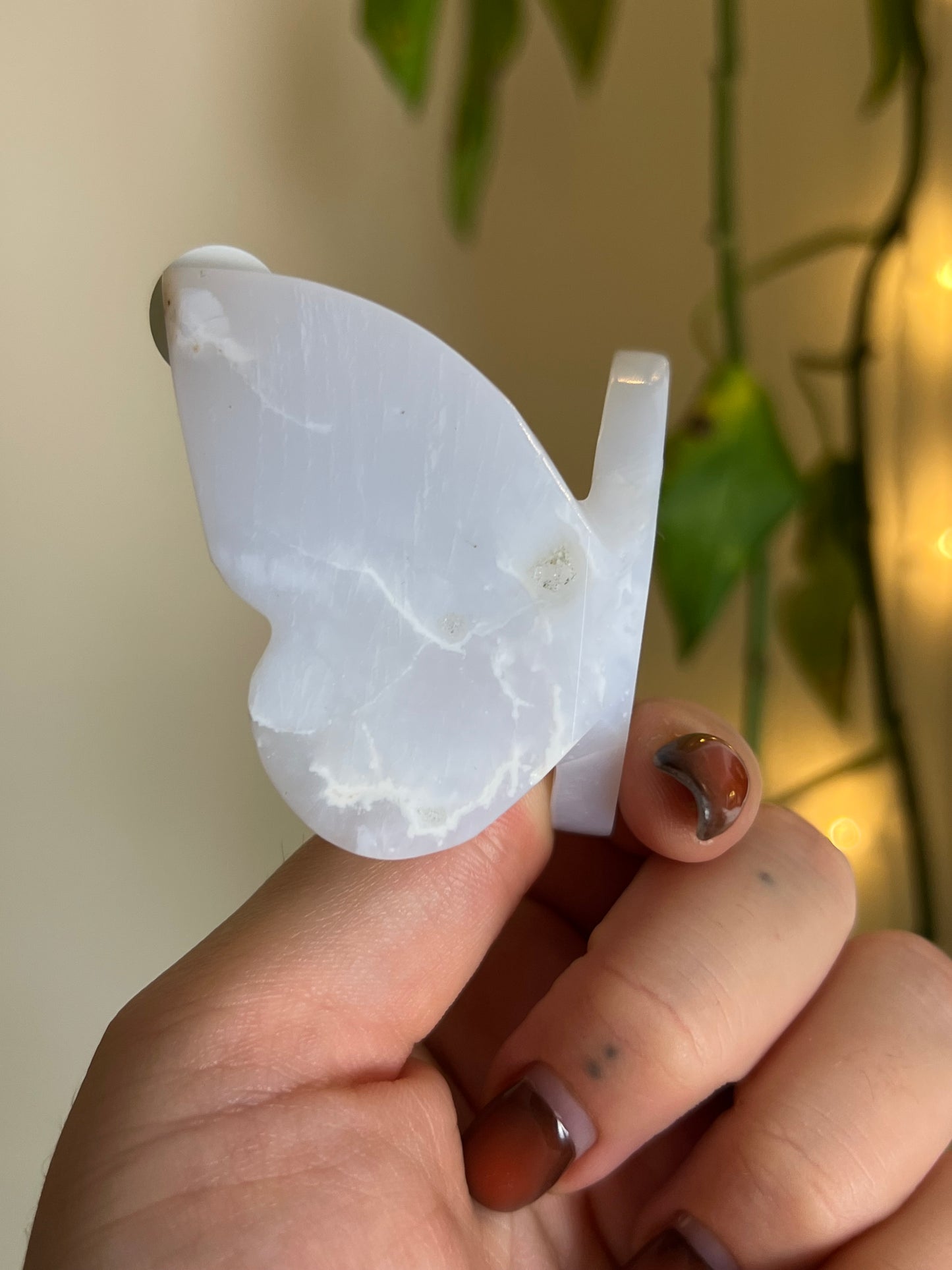 Pastel Blue Chalcedony 3D Butterfly - D