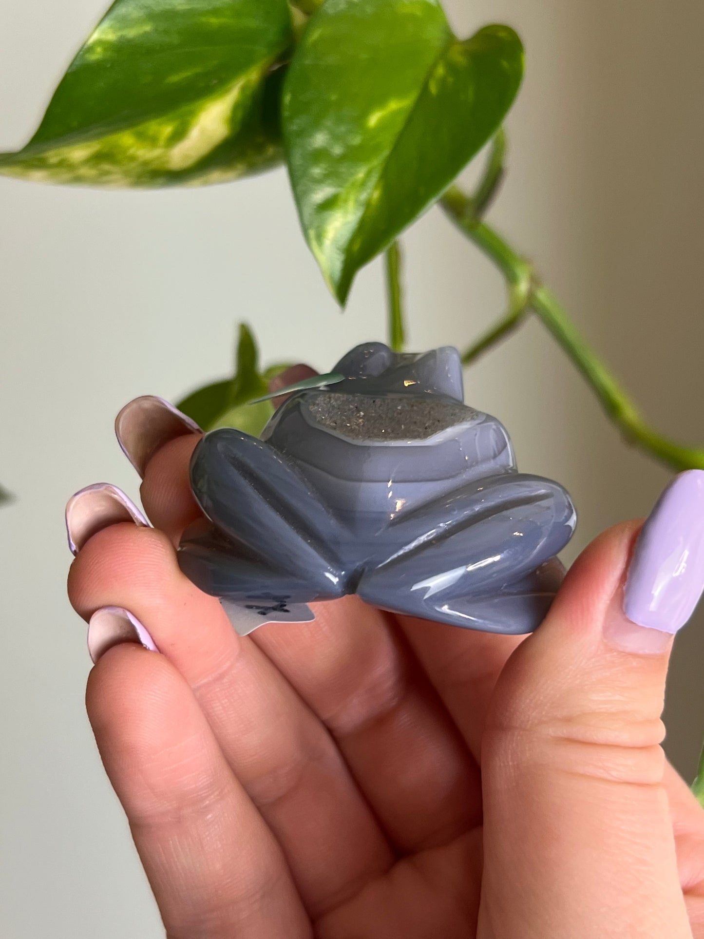 Druzy Agate Frog - 2