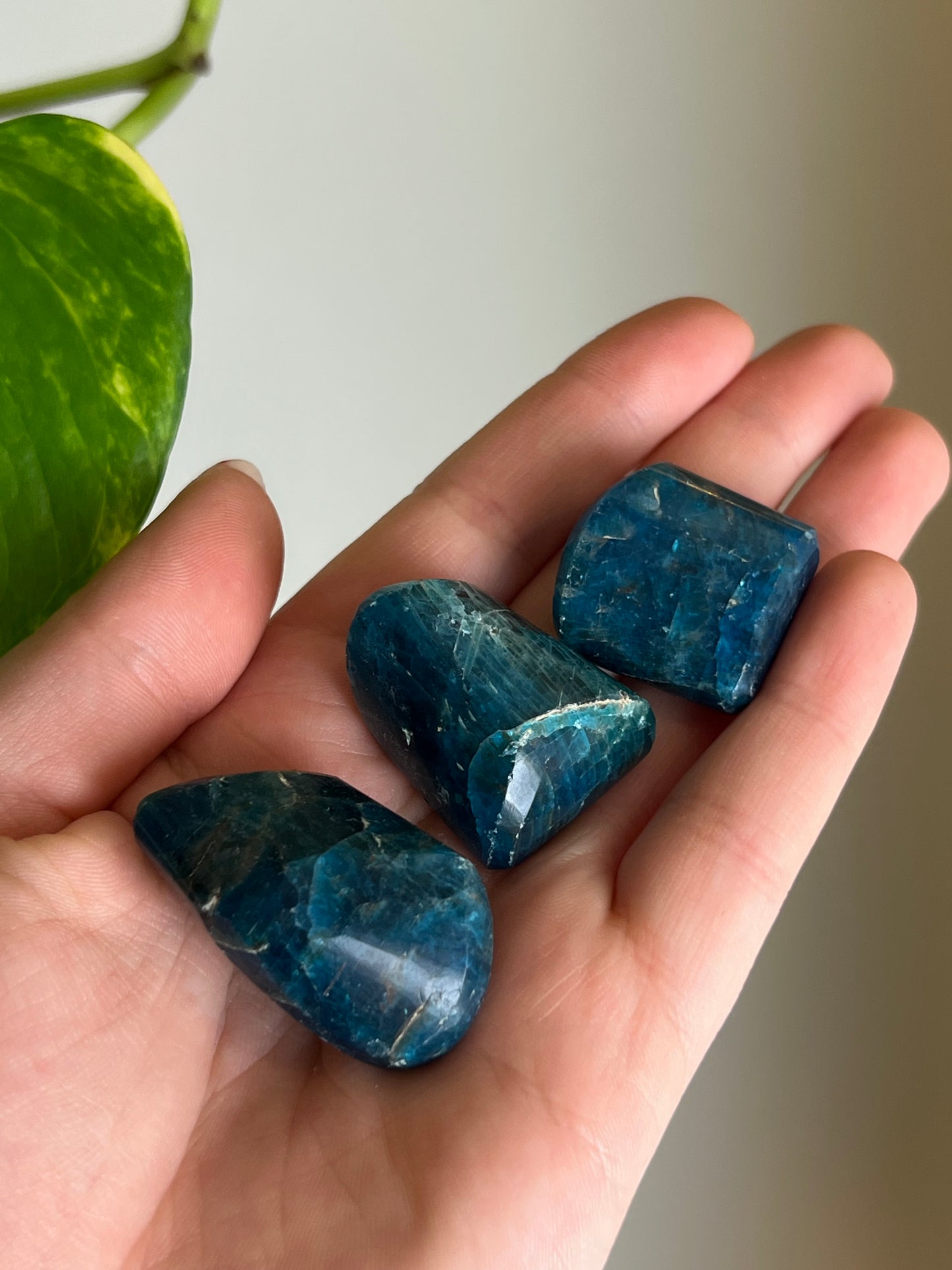Blue Apatite Tumbled
