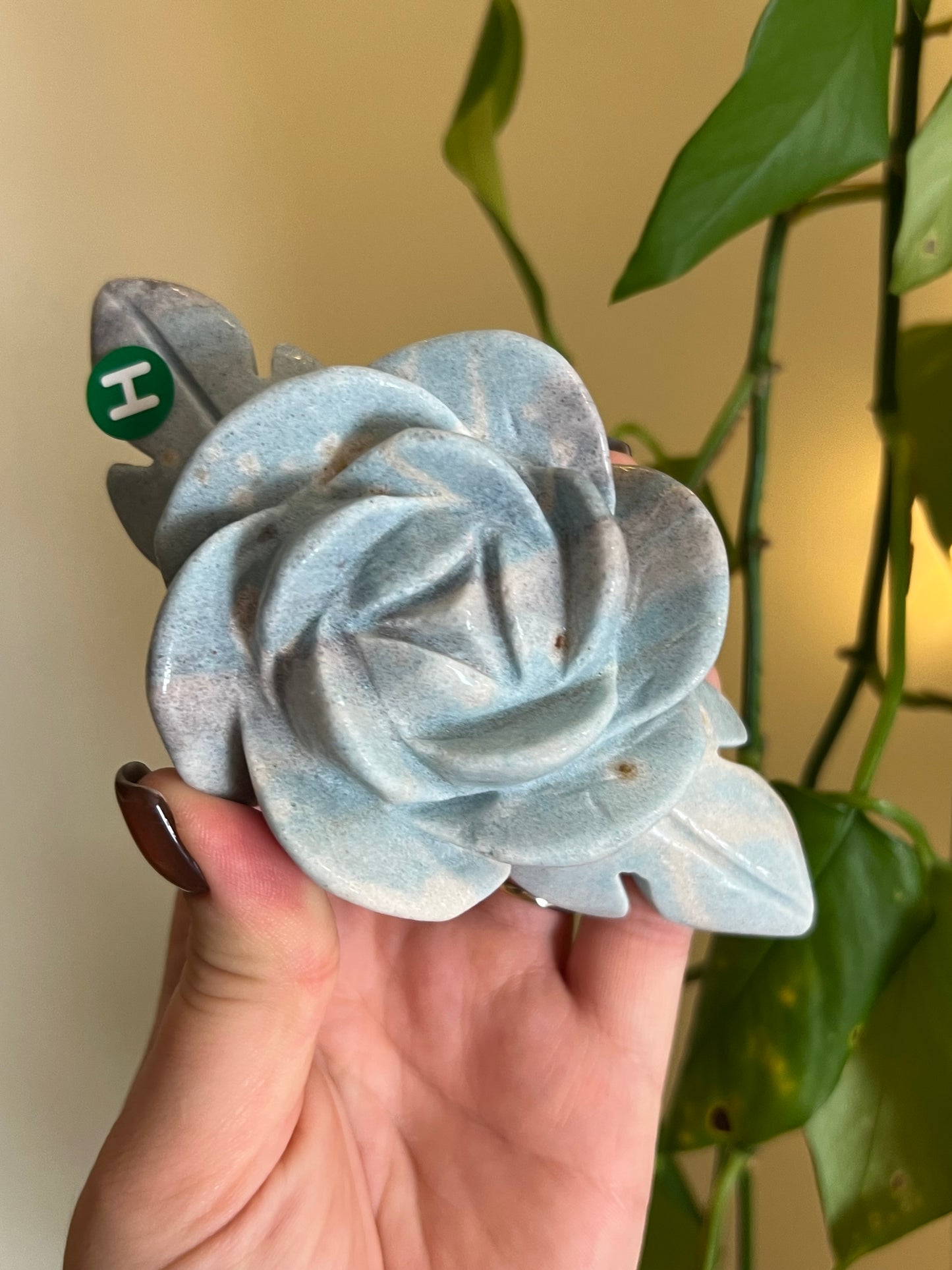 Trolleite Large Flower - H
